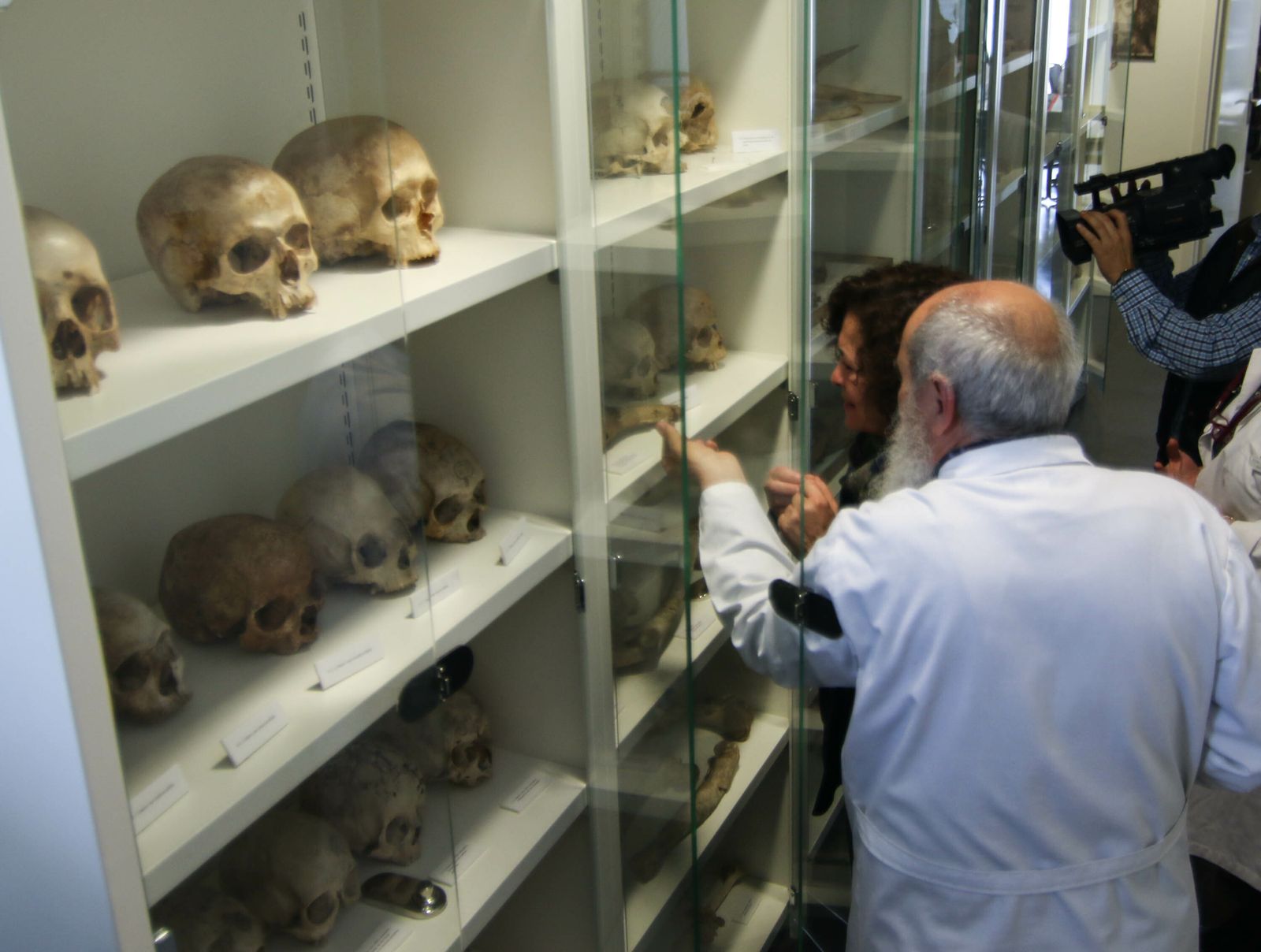 Miguel Botella muestra a la rectora algunos de los cráneos que se guardan en su laboratorio.