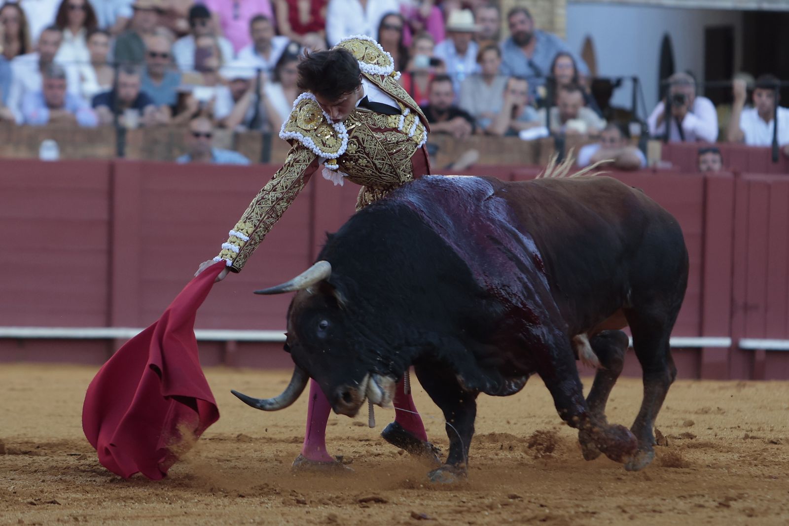 El triunfo de Castella en imágenes