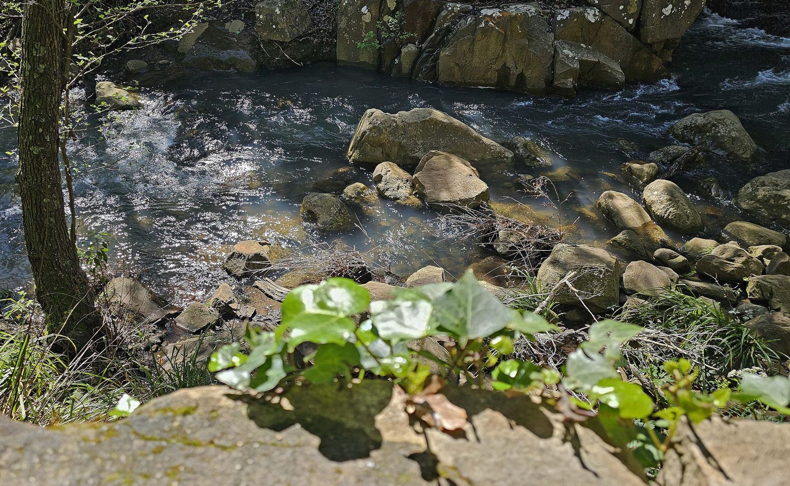 Fotos del río de la Miel tras las borrascas de marzo