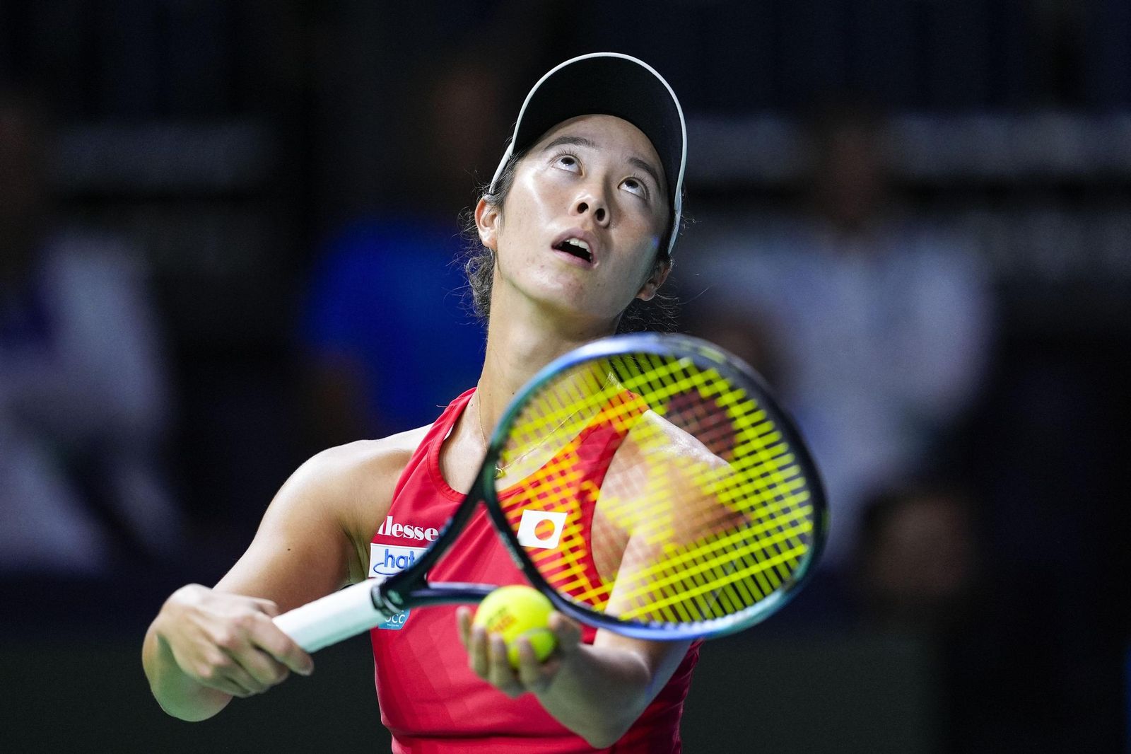 El Italia-Japón de la Billie Jean King en Málaga, en fotos