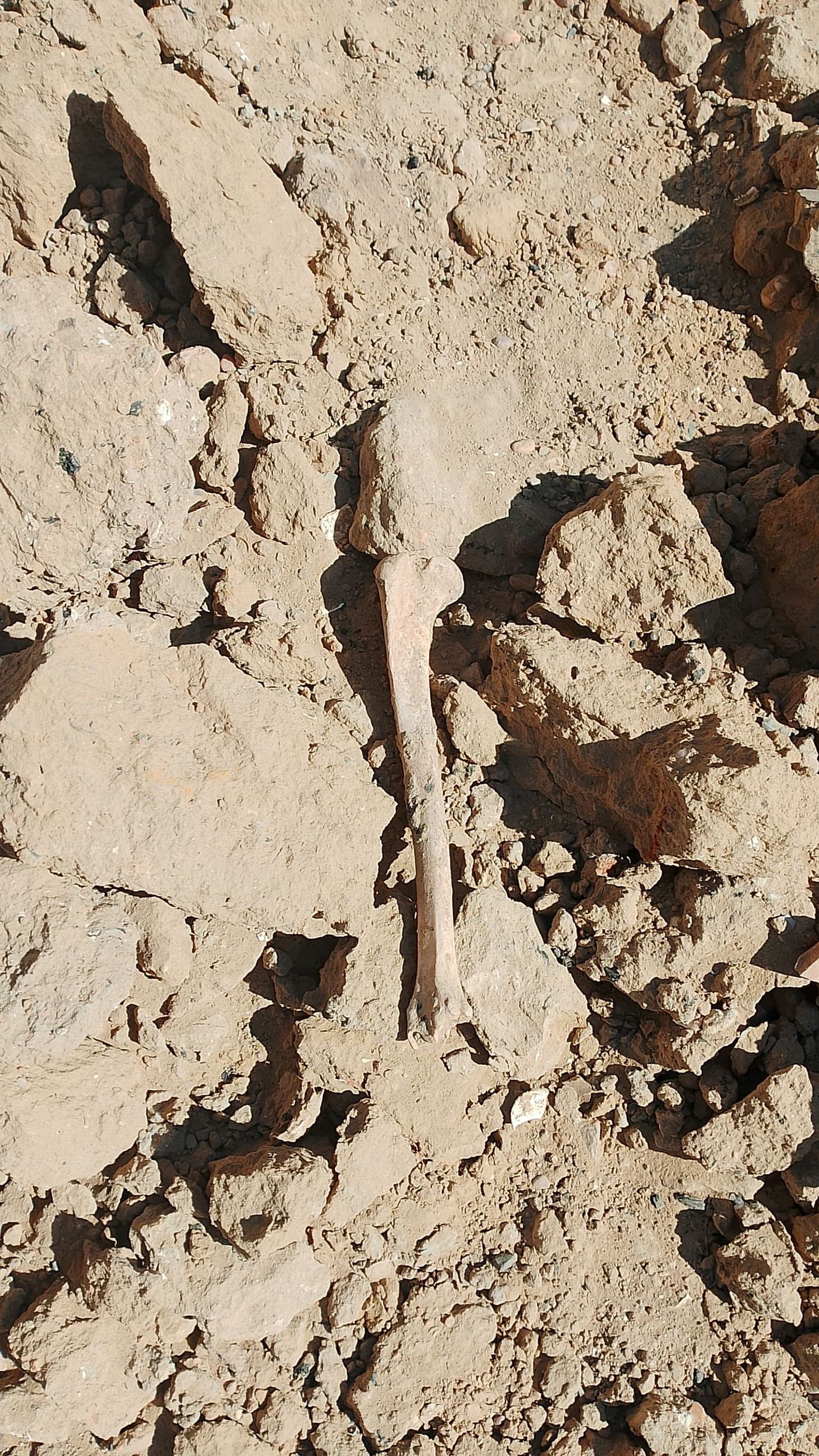 Restos arqueológicos aparecidos en el cabezo de San Pedro de Huelva.