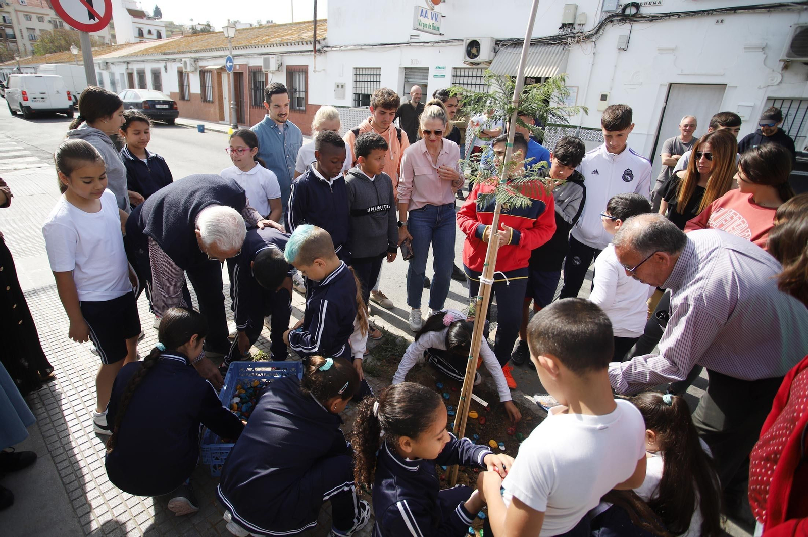 Imágenes la plantación de árboles en la Barriada de la Navidad por alumnos del Colegio Virgen de Belén