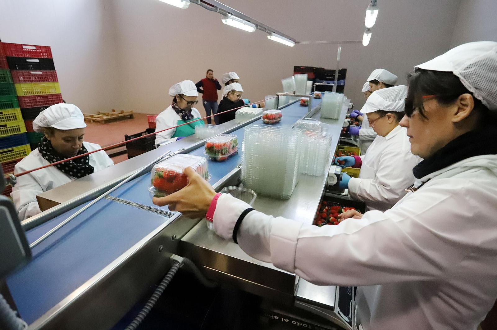 Imágenes de la realidad del trabajo en el campo