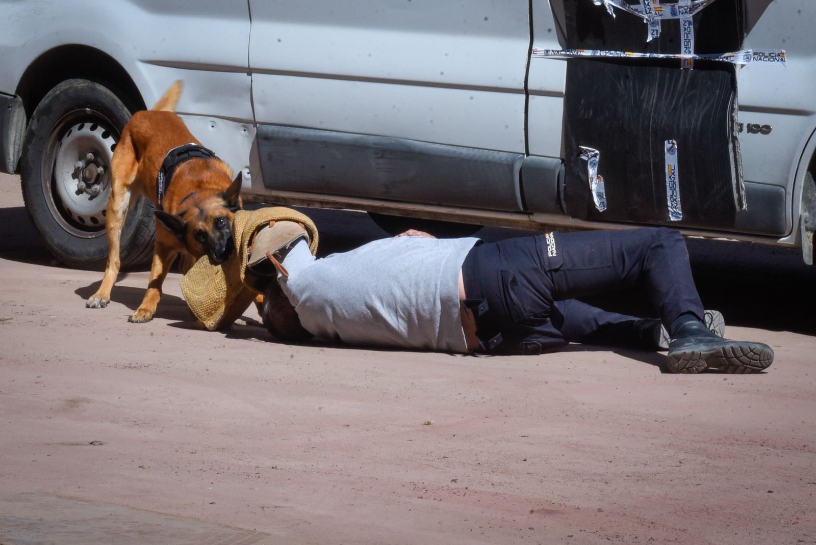 La exhibición policial con participación de la Unidad Aérea, Guías Caninos y Caballería, en imágenes