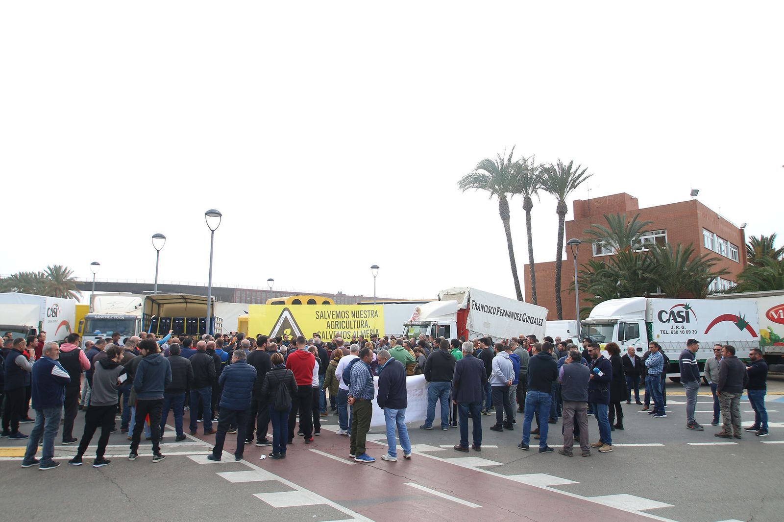 Fotogalería de la manifestación de agricultores