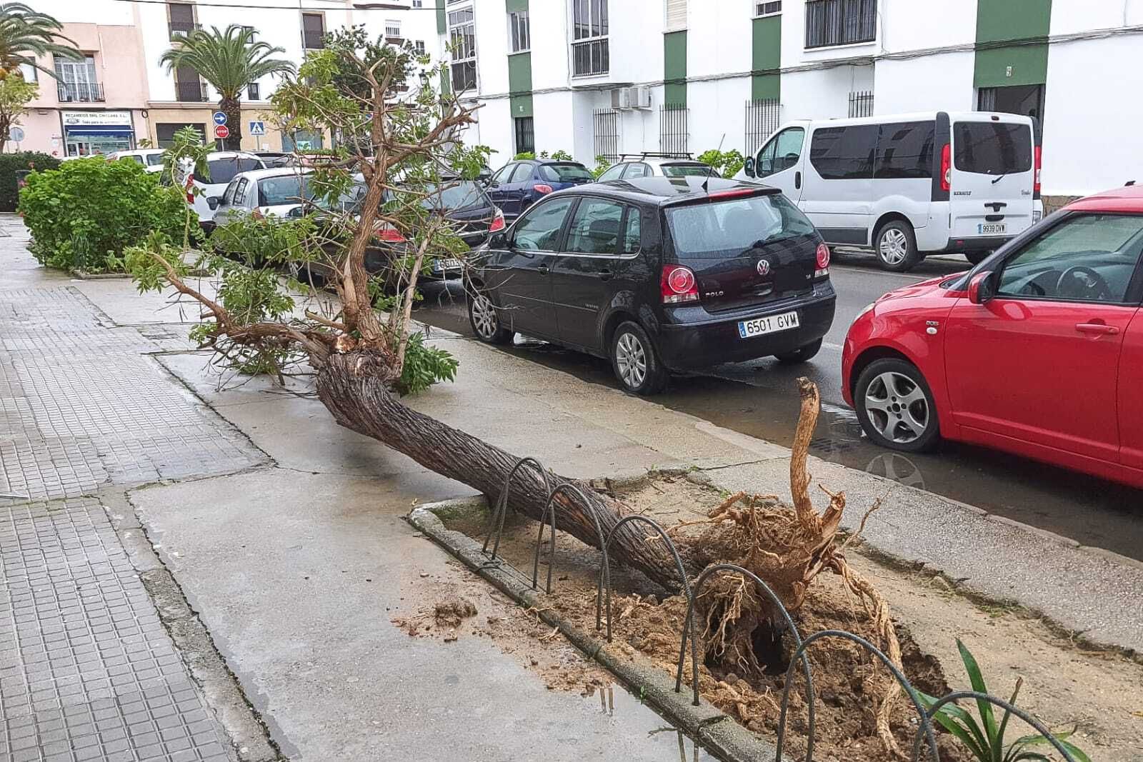 Efectos del temporal en Chiclana
