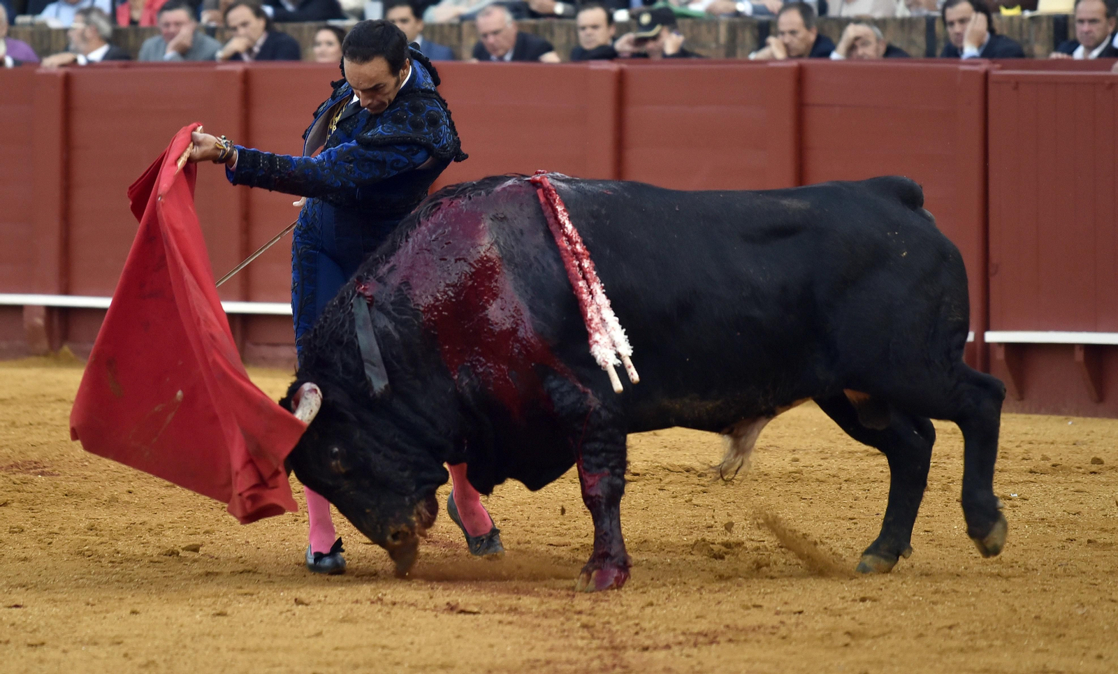 Las imágenes de la segunda de abono de la Maestranza