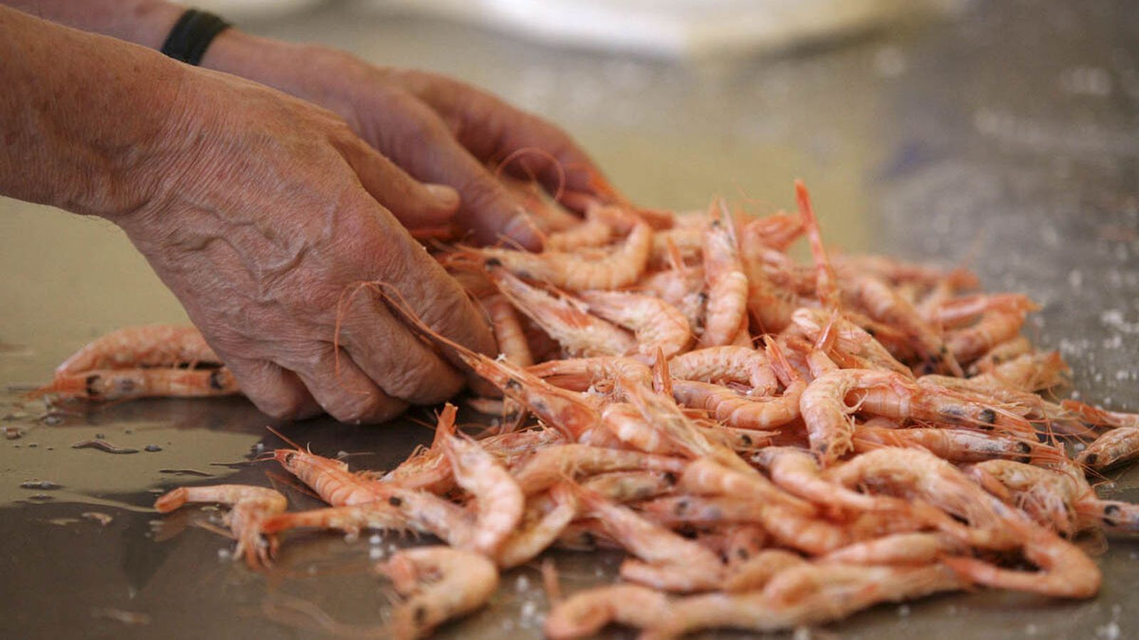 Fería de la Gamba, la Chirla y el Boquerón de Punta Umbría el pasado 2019