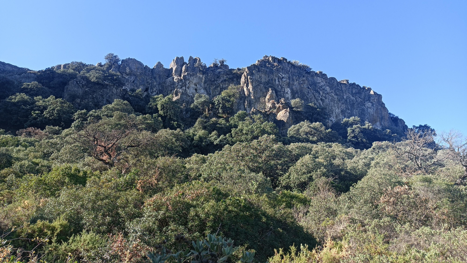 Fotos del ascenso al Pico del Terril