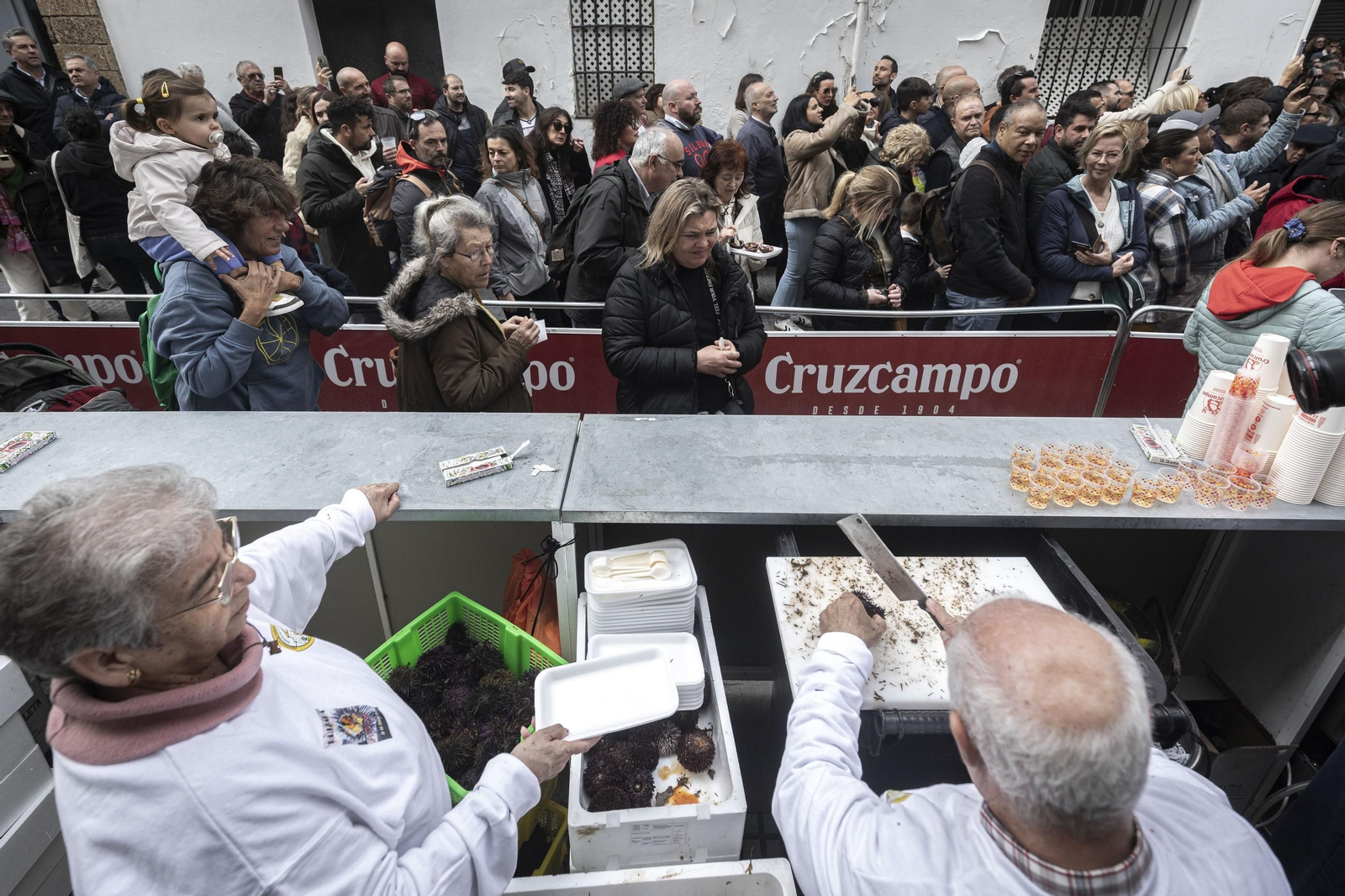 Las imágenes de la Erizada popular del Carnaval de Cádiz 2025
