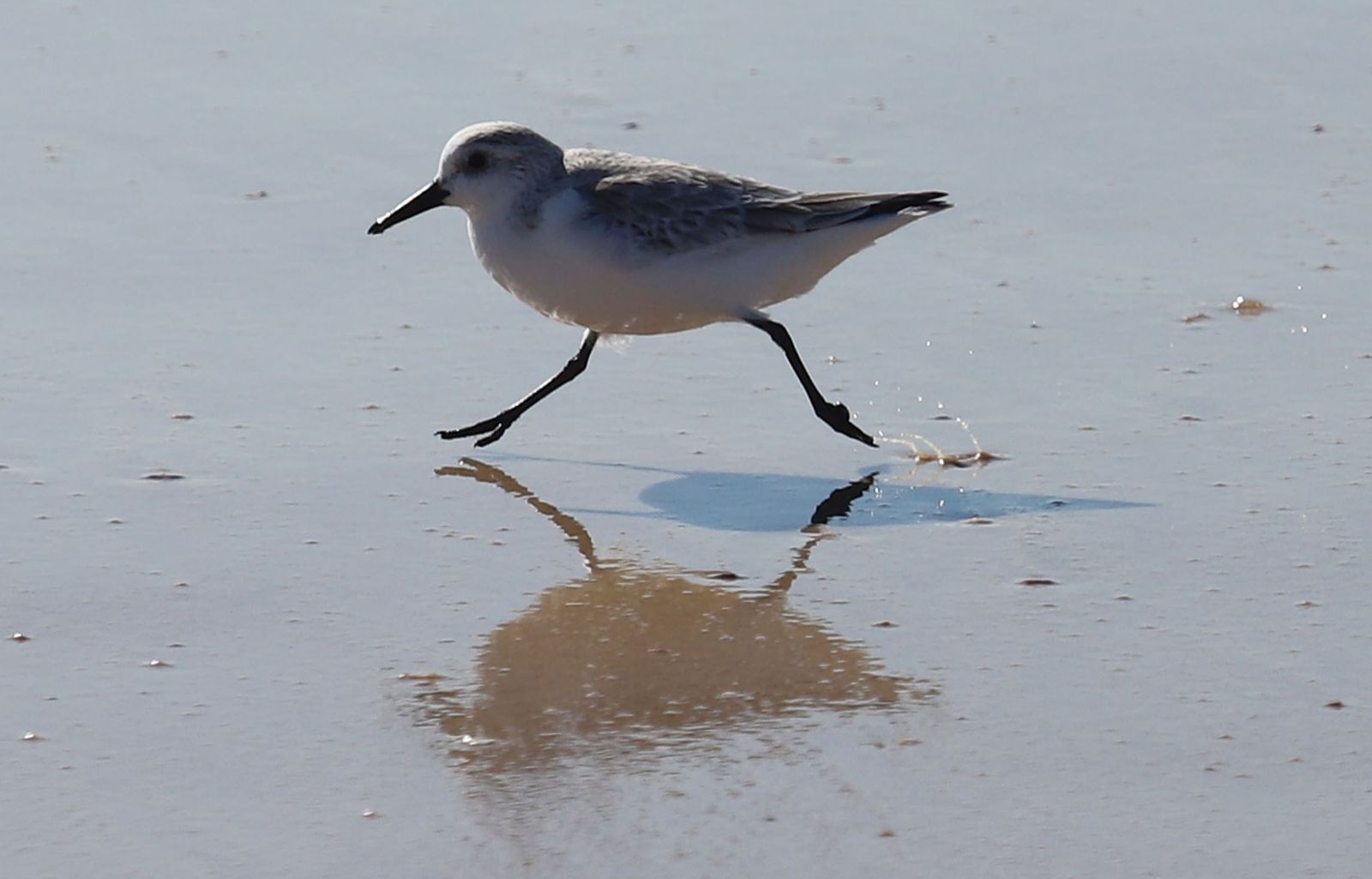 Imágenes del viernes 8 de septiembre en Huelva
