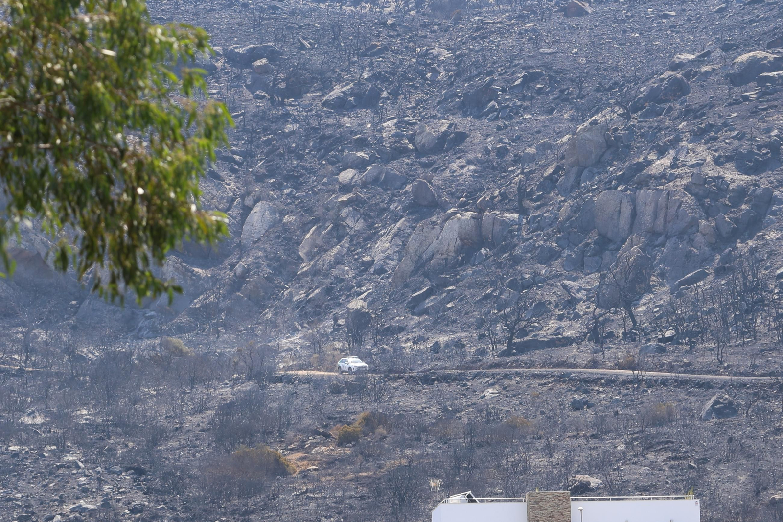 Las fotos de los efectos del incendio forestal en la Sierra de la Plata y Atlanterra, en Tarifa