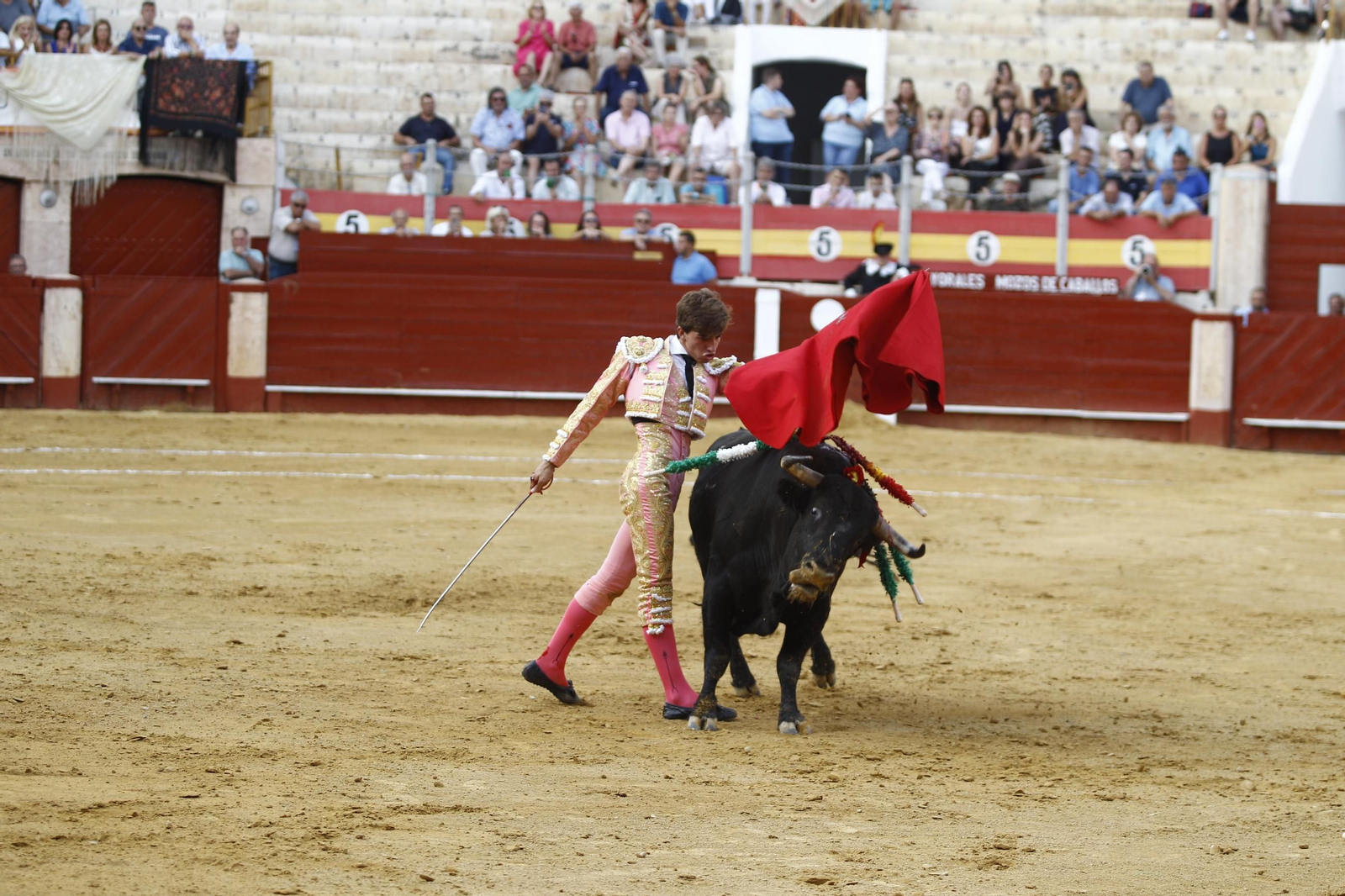 Imágenes de la novillada de la Feria de Almería 2025