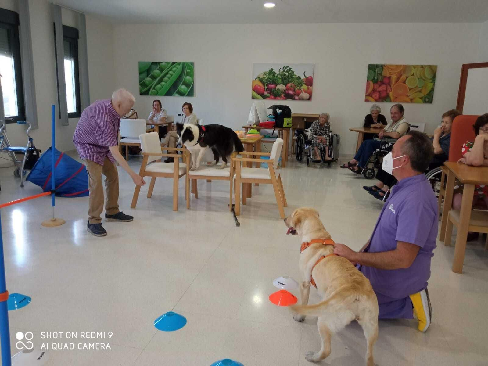 Un momento de la terapia asistida con animales en la residencia Alconchel en Mairena del Alcor.
