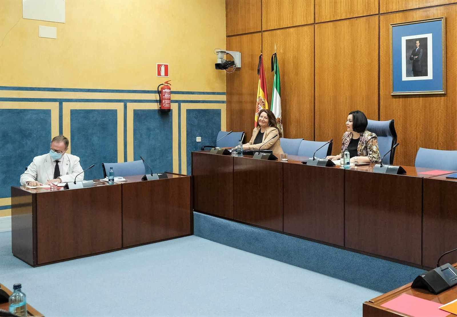 Carmen Crespo en comisión parlamentaria.