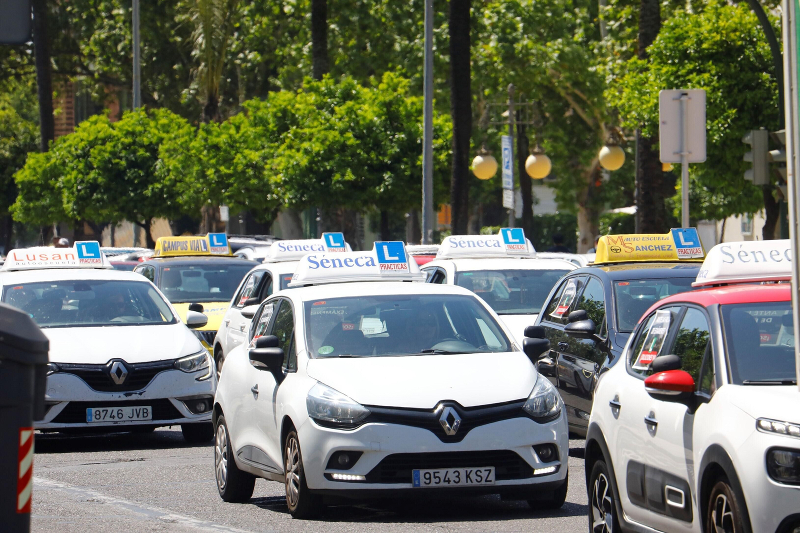 La protesta de las autoescuelas de Córdoba, en imágenes