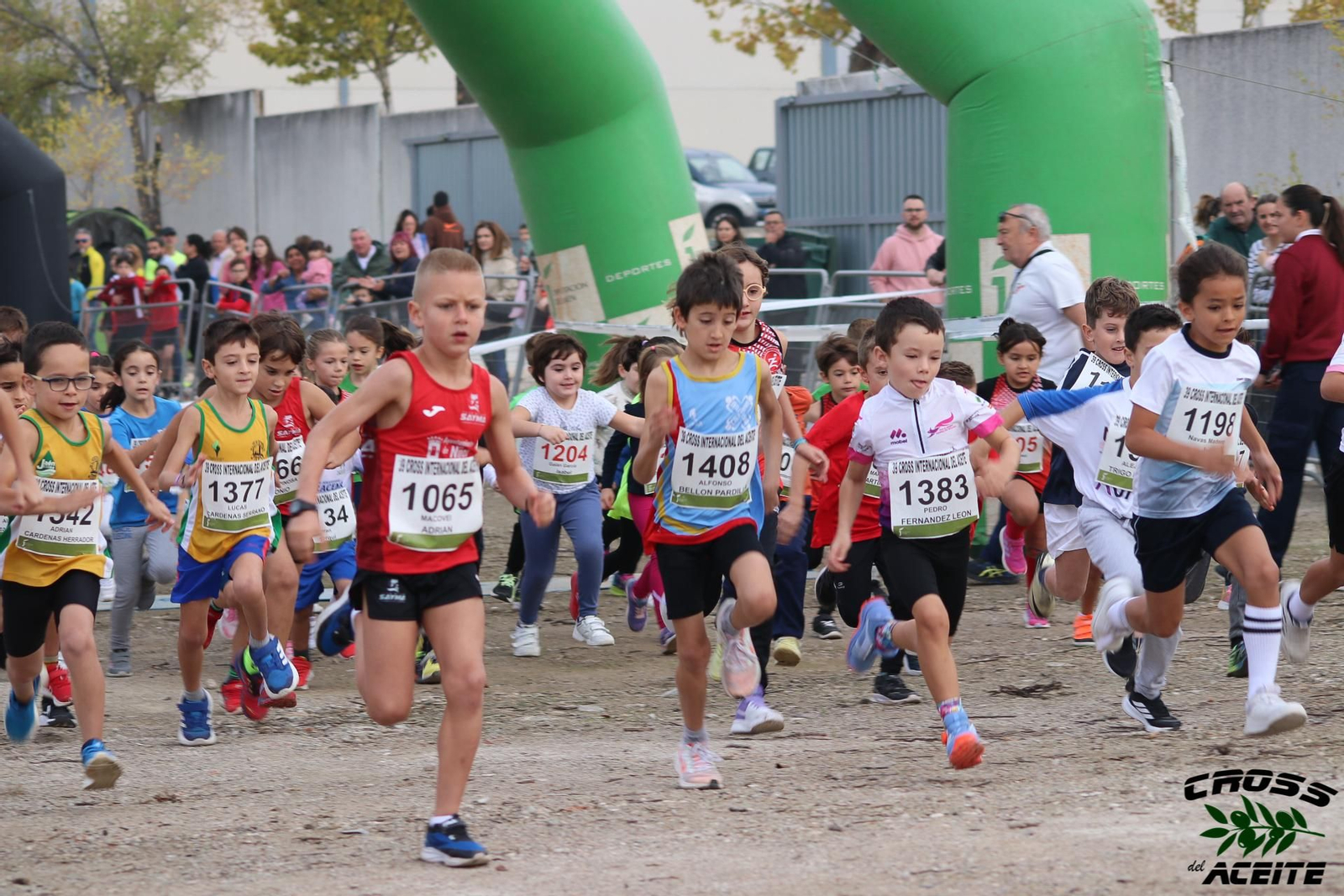 La emoción de la 39 edición de la Cross del Aceite de Torredonjimeno, en imágenes