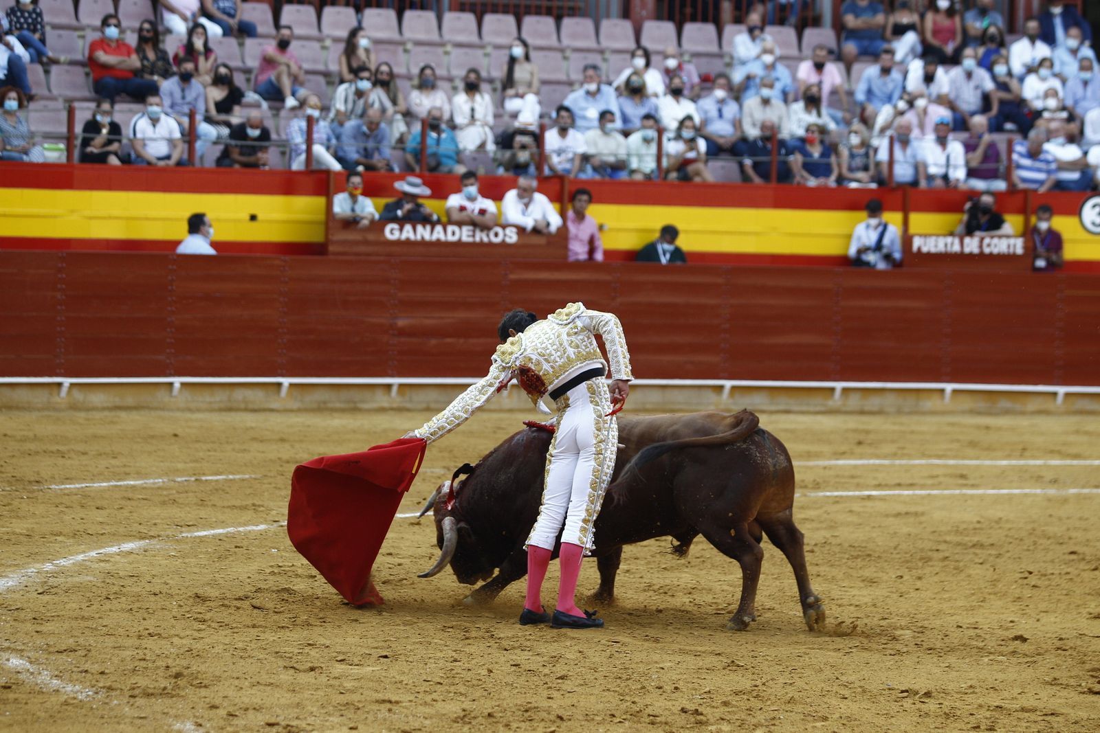 Fotogalería corrida de toros. Cayetano Rivera, Paco Ureña y Roca Rey. Roquetas de Mar.