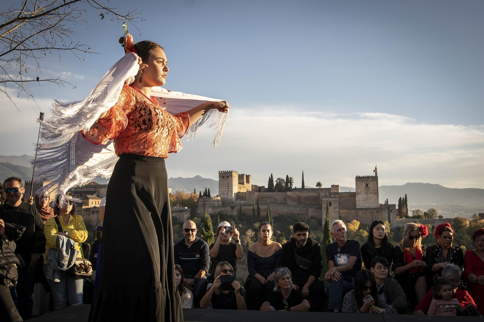 Granada celebra el Día del Flamenco, en imágenes