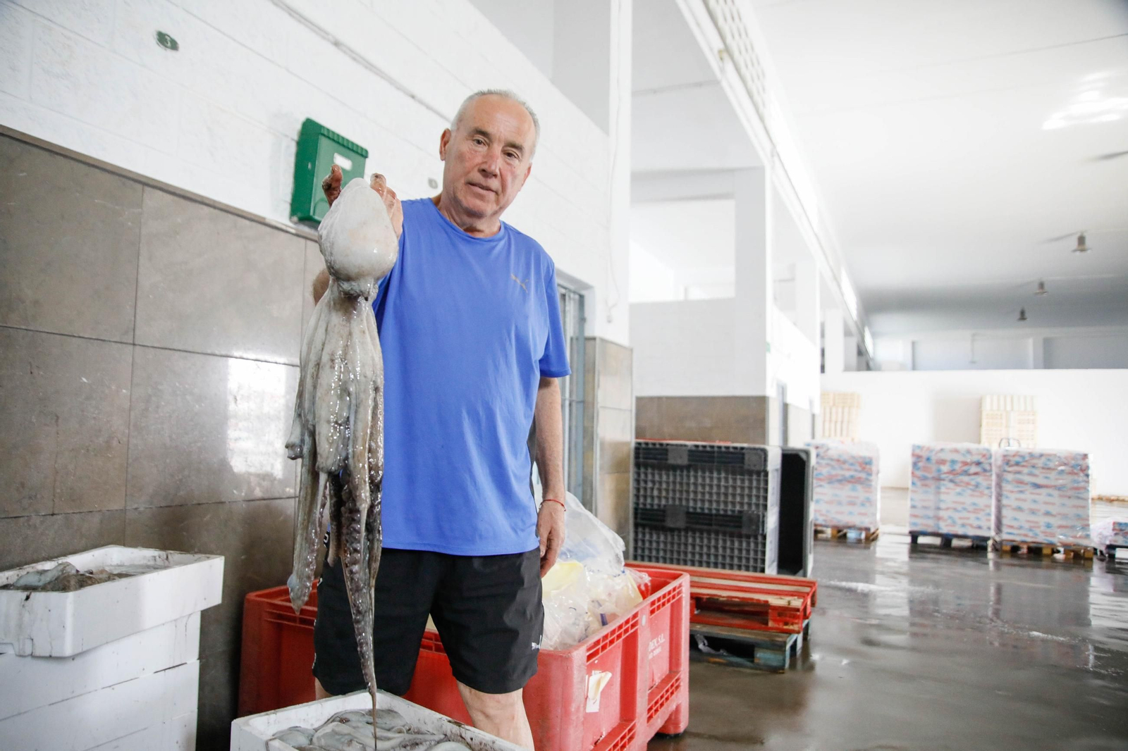 Vea cómo es la captura de pulpo en Adra, un manjar gastronómico