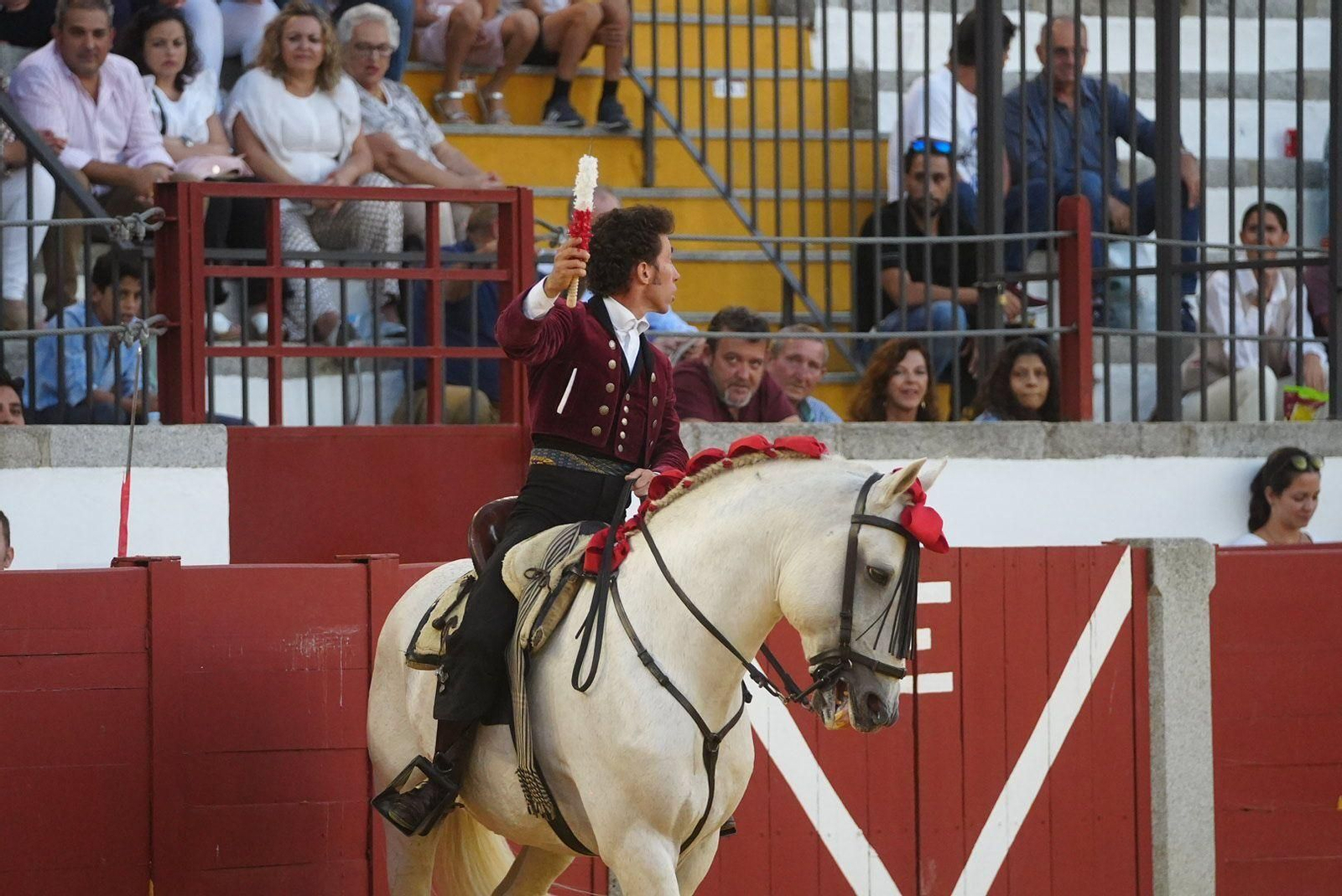 Las mejores fotos de la faena triunfal de Andy Cartagena, Leonardo y Lea Vicens en Pozoblanco Las mejores fotos de la faena triunfal de Andy Cartagena, Leonardo y Lea Vicens en Pozoblanco