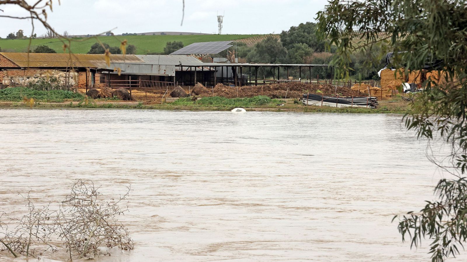 El Guadalete comienza a bajar su nivel poco a poco por la zona rural de Jerez