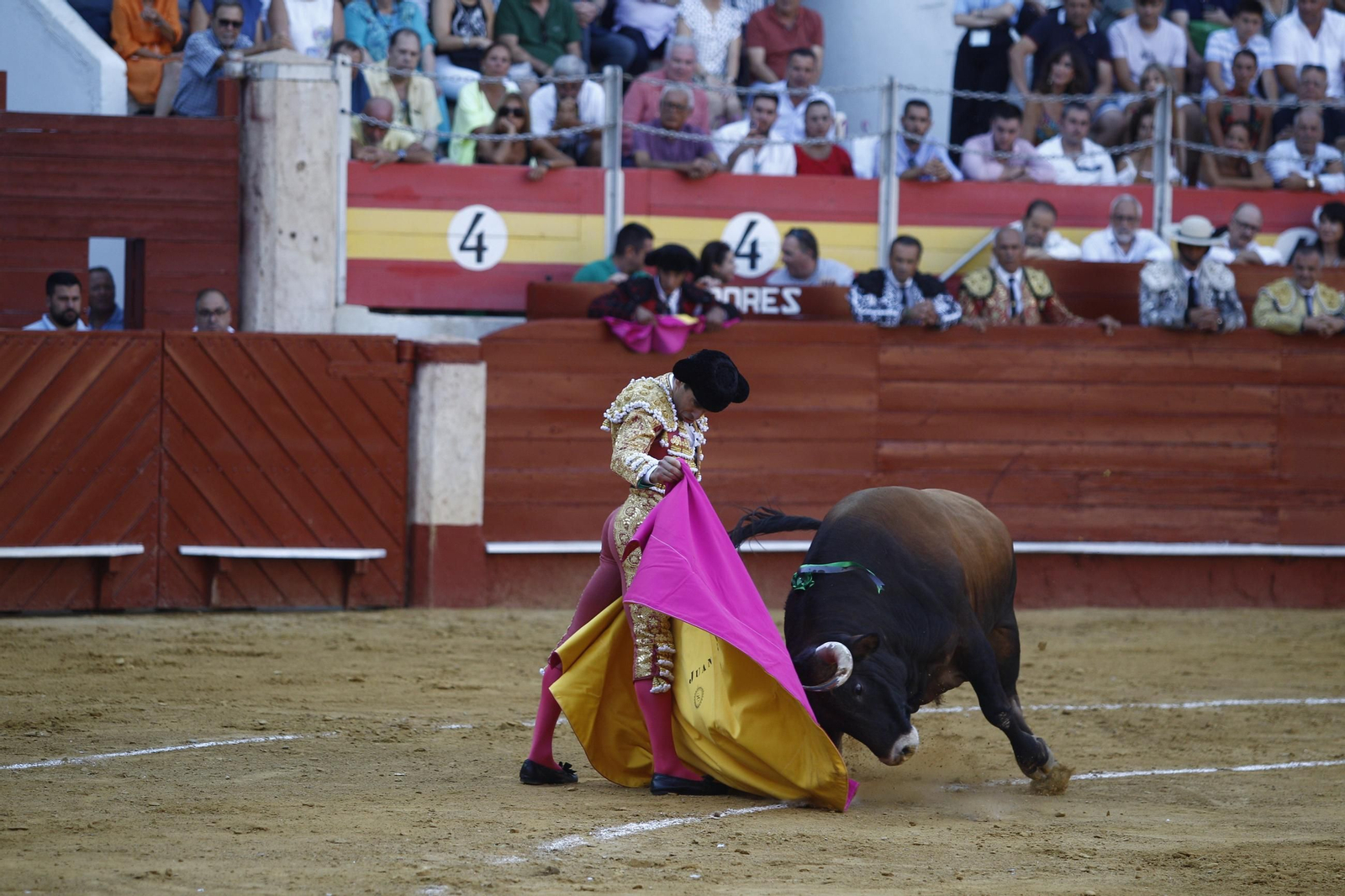 Las mejores imágenes de los toreros Fortes, Juan Ortega y David de Miranda en la Feria de Almería 2025