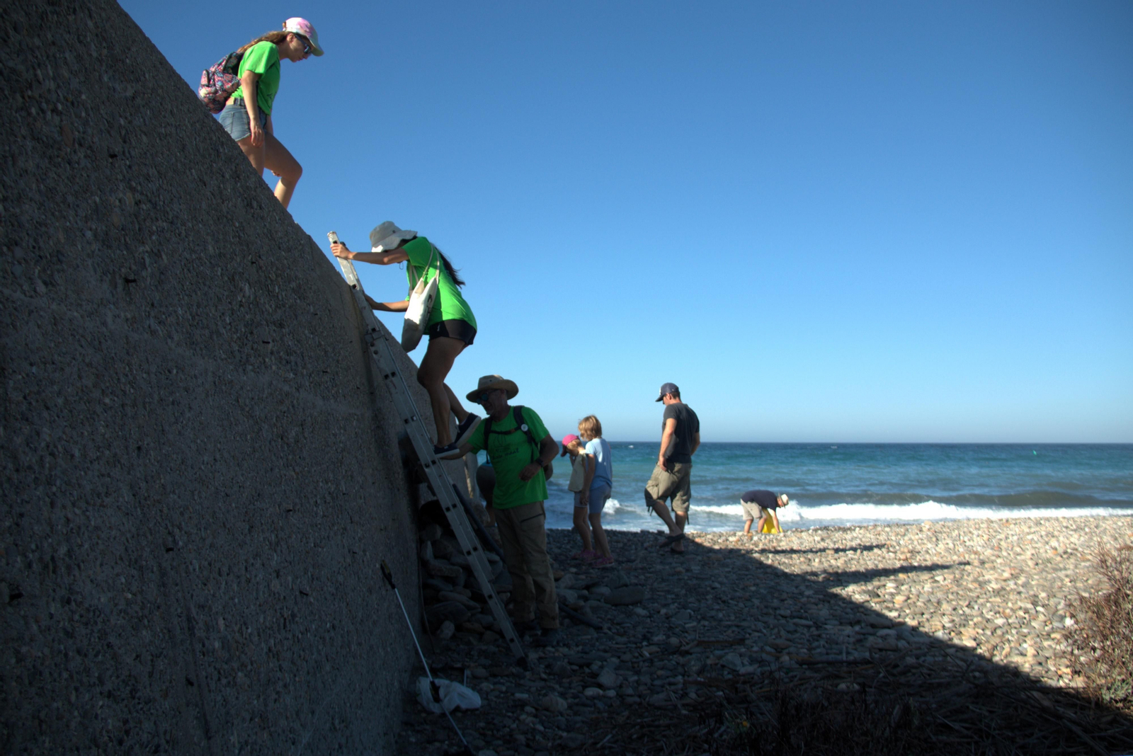 Así ha sido la jornada de limpieza de la desembocadura del río Guadalfeo en Salobreña