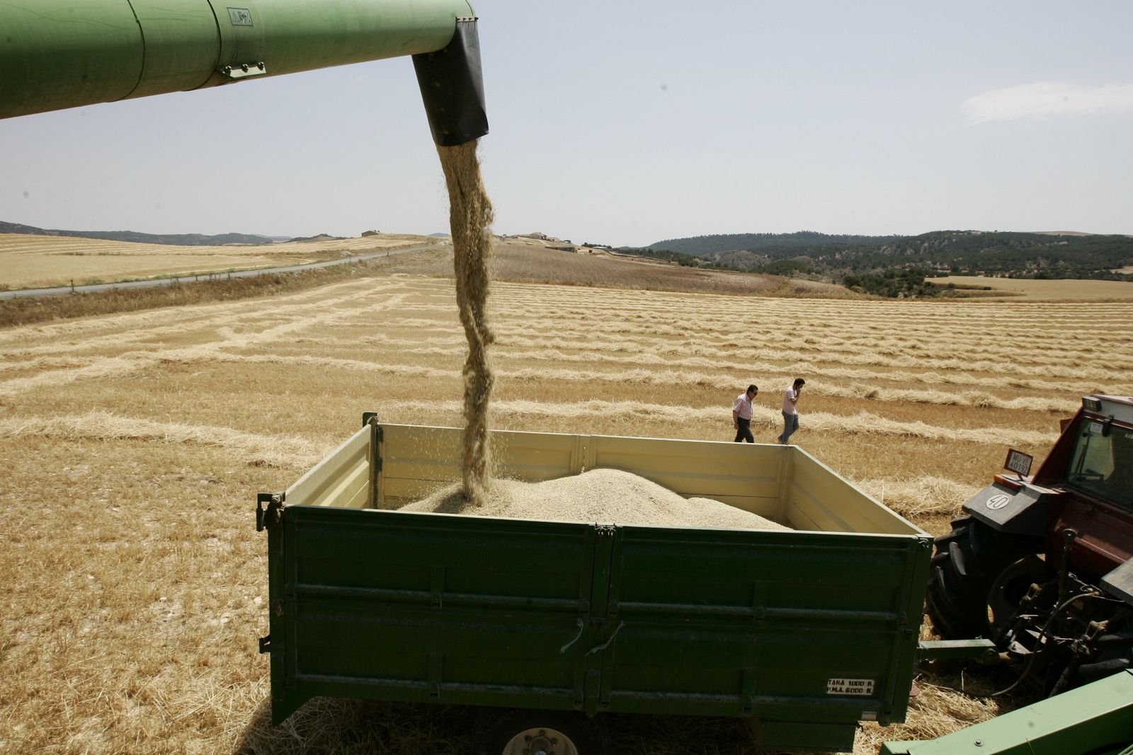 Recogida de cereales.