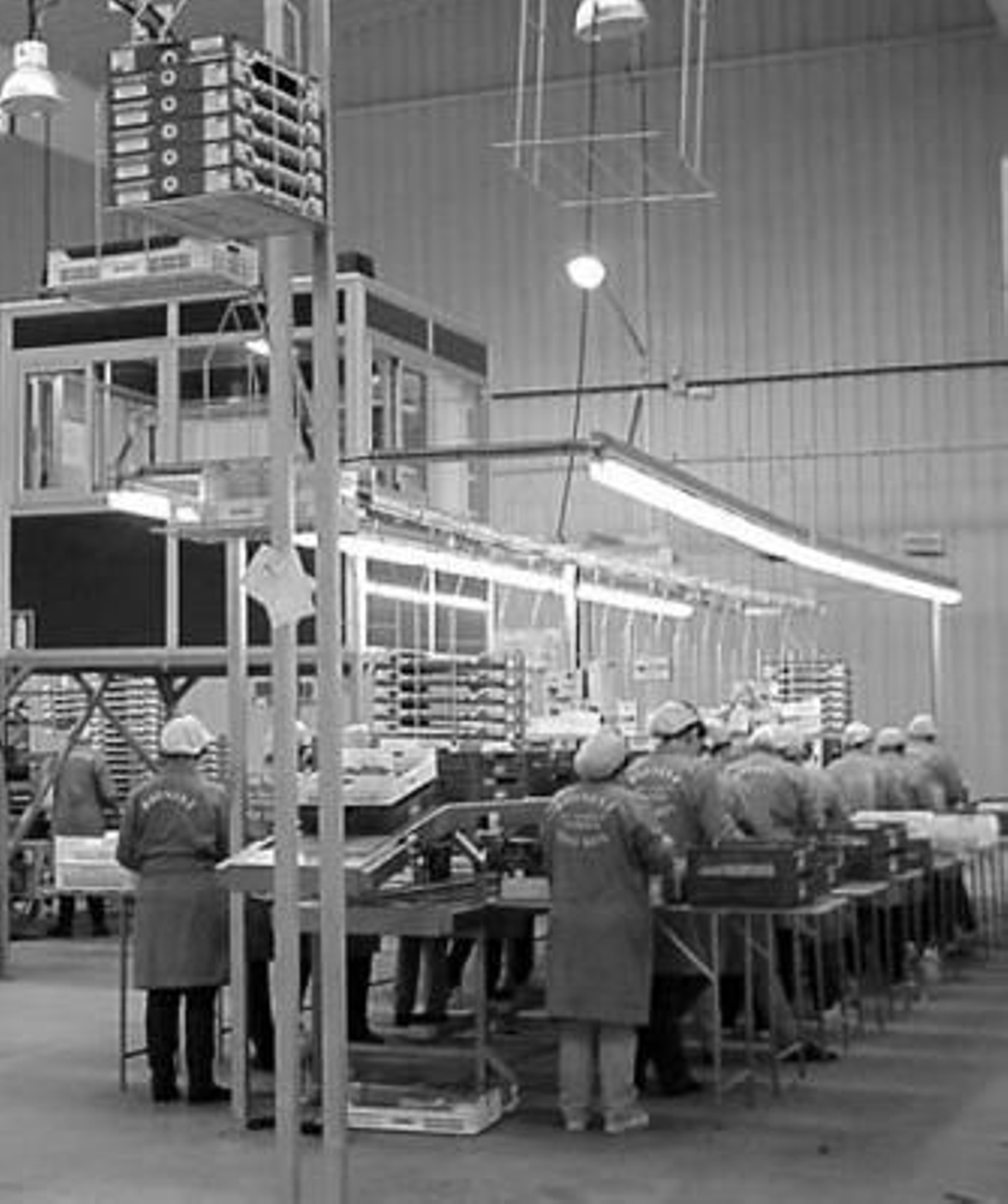 La empresa Bionest, uno de las galardonados.