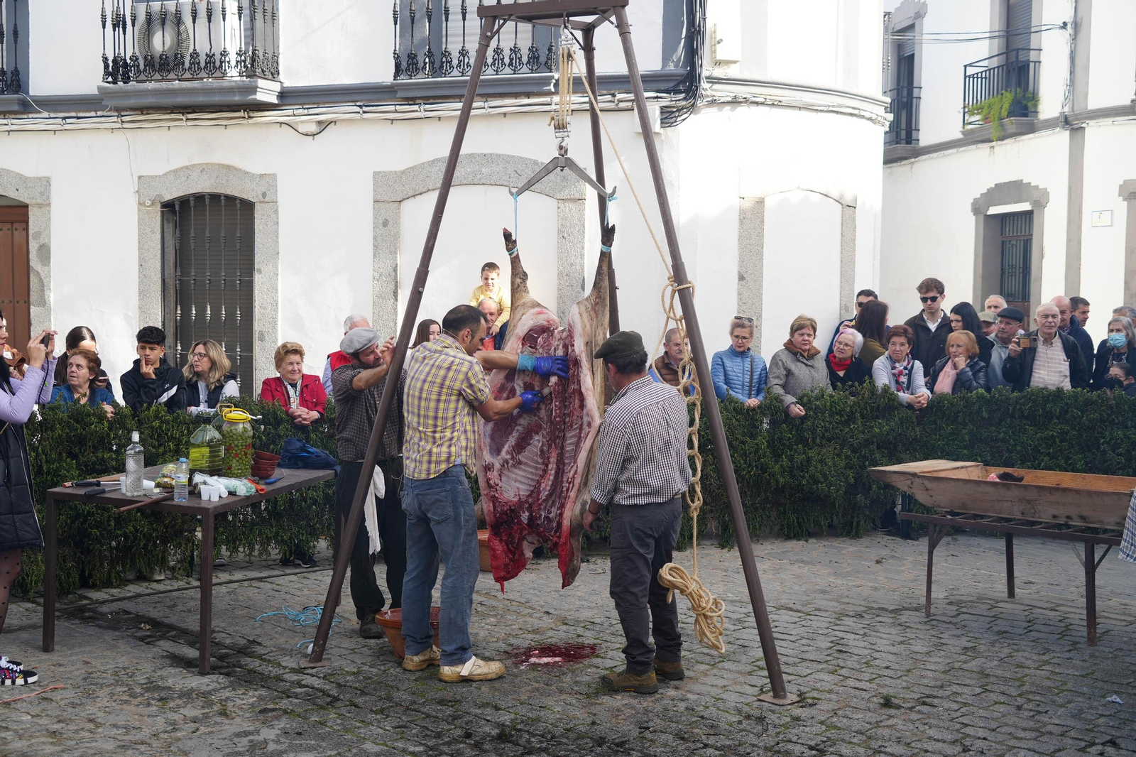 Alcaracejos celebra su Fiesta de la Matanza, en imágenes