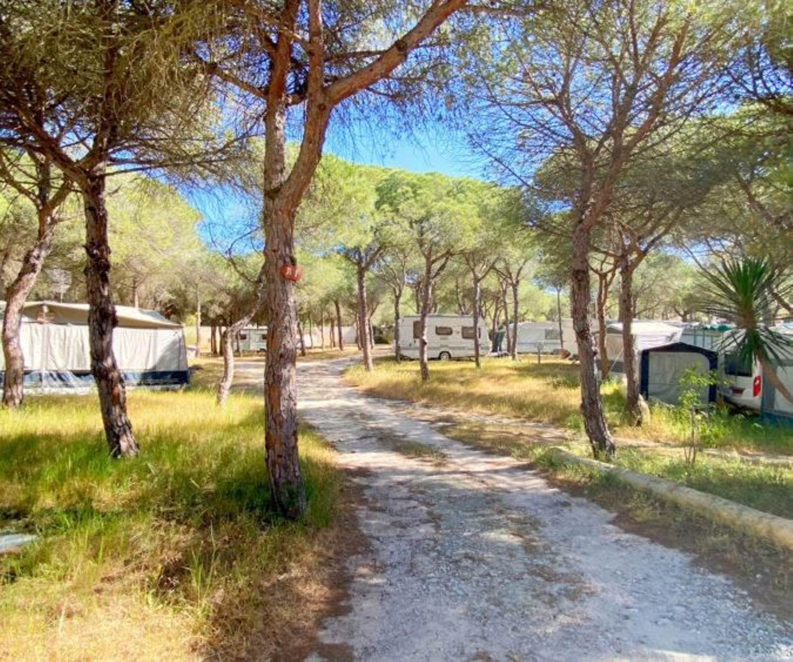Campings Las Dunas