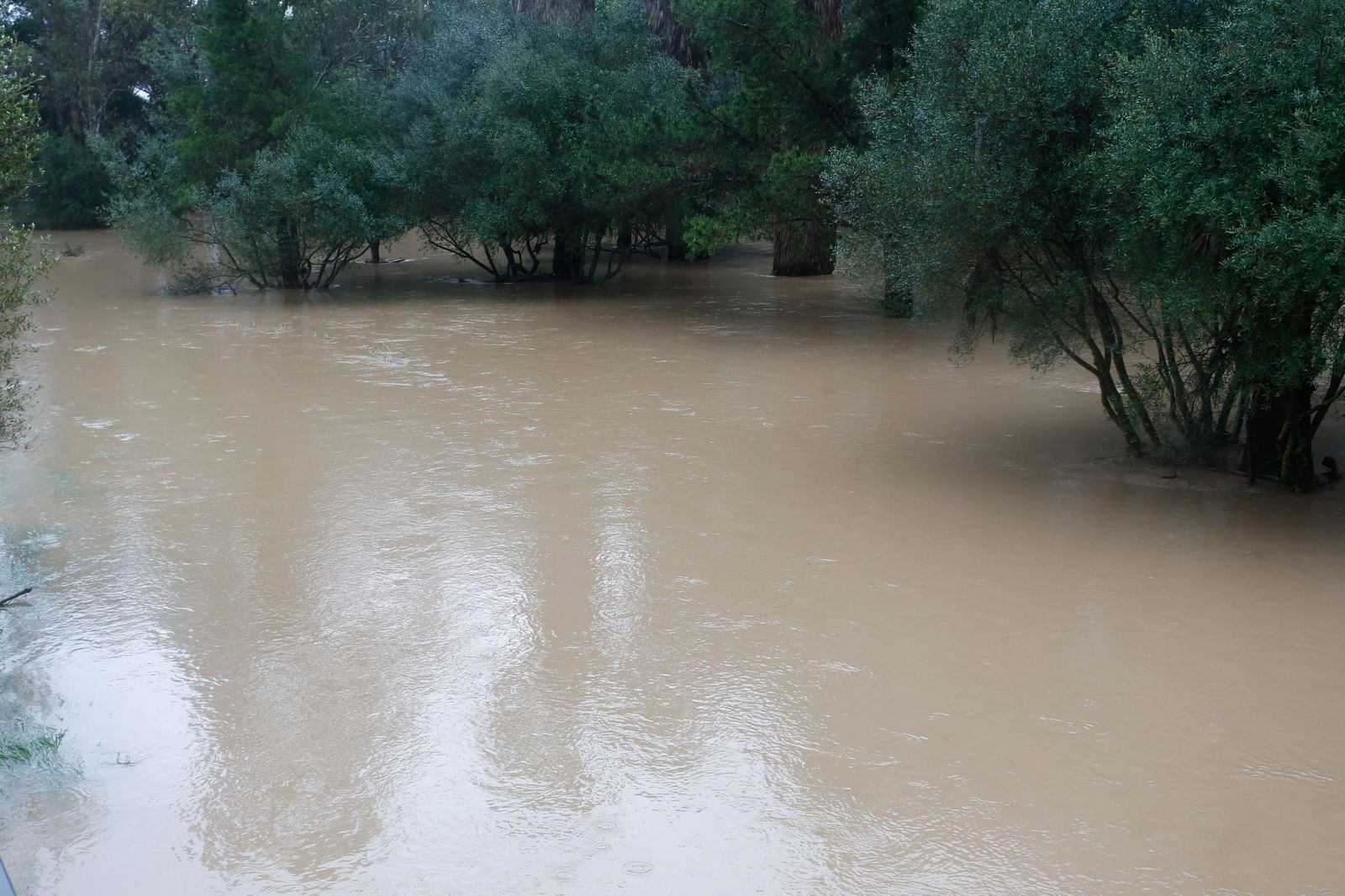 Fotos: Así amaneció el Campo de Gibraltar tras el paso de la borrasca Leonardo