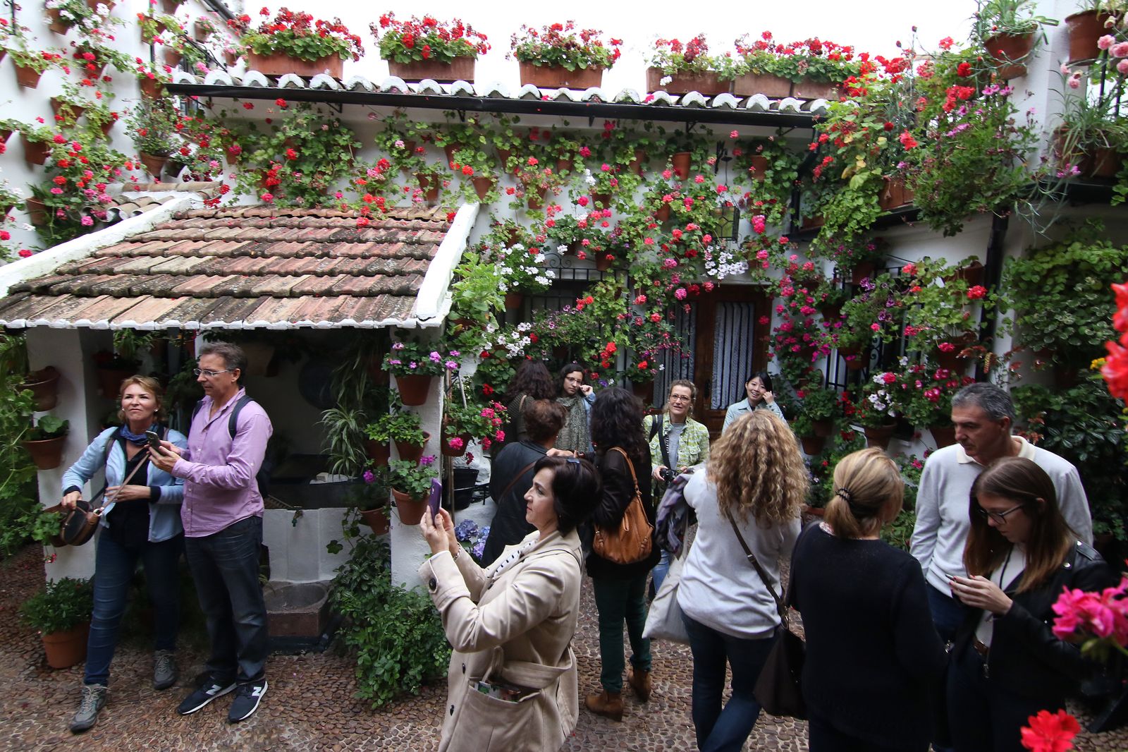 Los patios ganadores en el concurso de los Patios de Córdoba 2017
