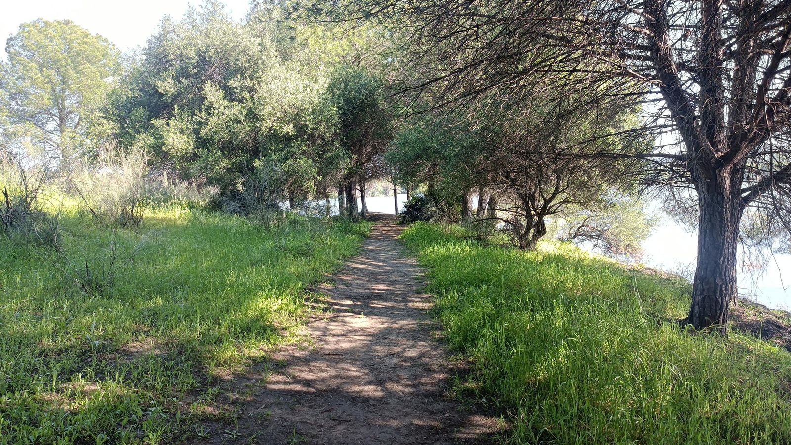 Paseando junto a la orilla. Hay gente que pesca por aquí.