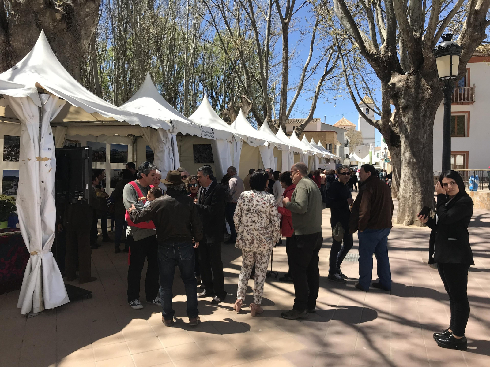 Imágenes de Terracultura 2019, en Chirivel