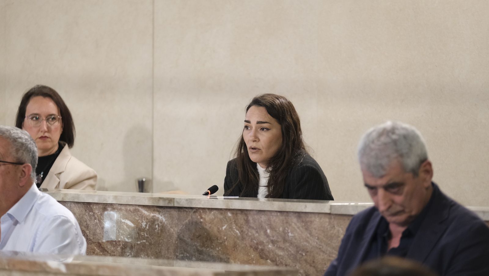 Imágenes del pleno extraordinario del Ayuntamiento de Almería