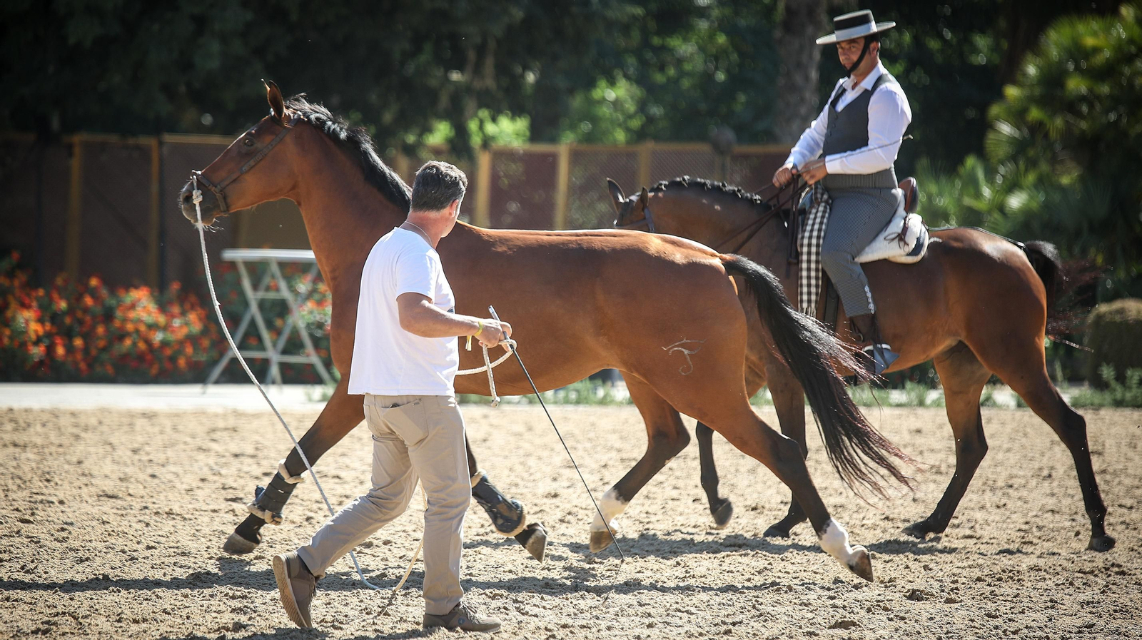 Imágenes de la XVI Copa de S.M. el Rey de Doma Vaquera