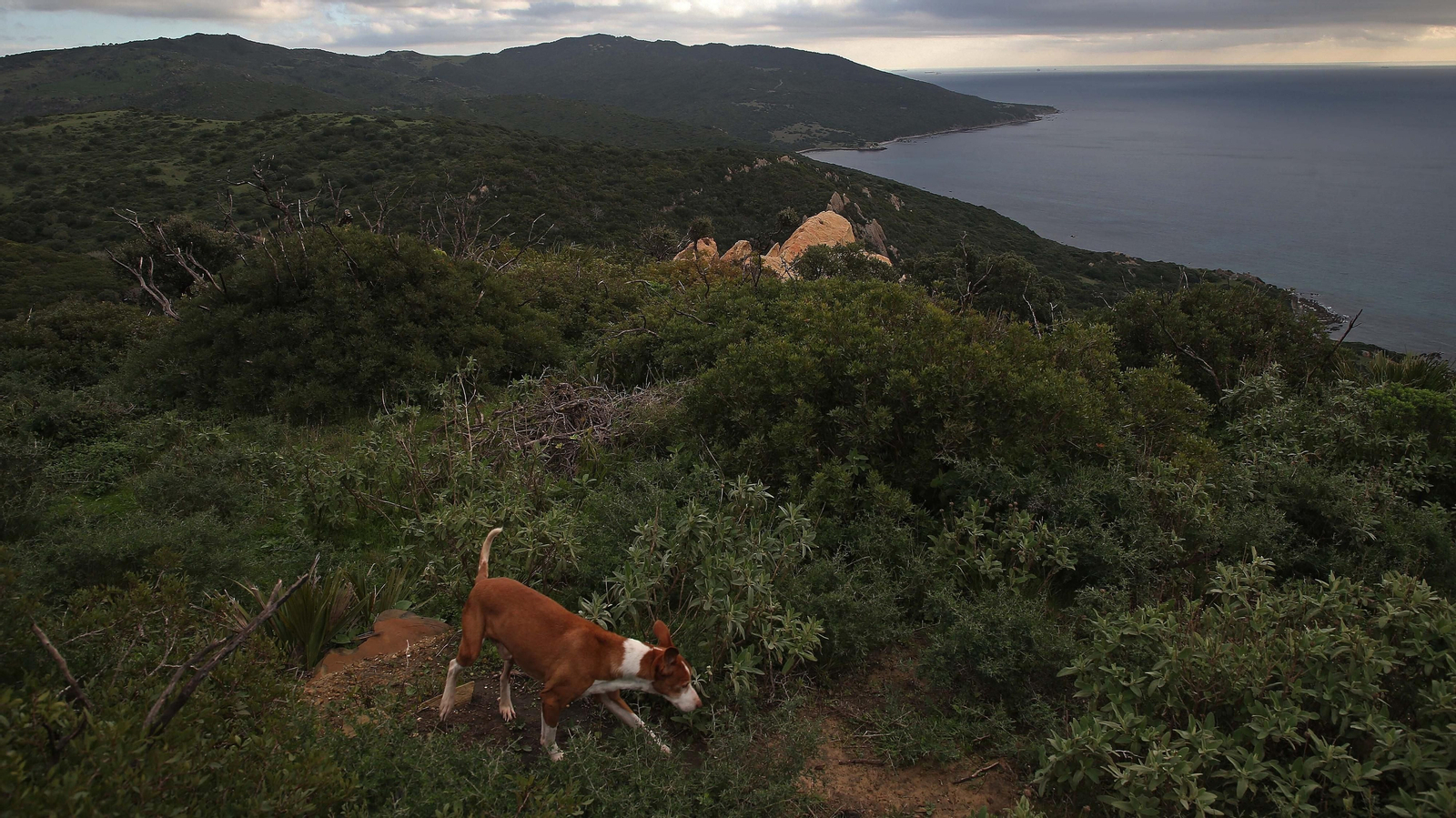 Fotos del sendero del Cerro del Tambor en Algeciras
