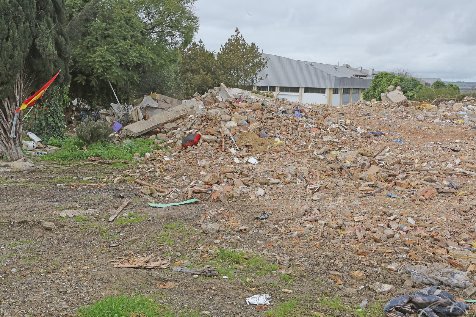 Derribo de las antiguas bodegas Bobadilla: El polígono Guadalquivir se revaloriza