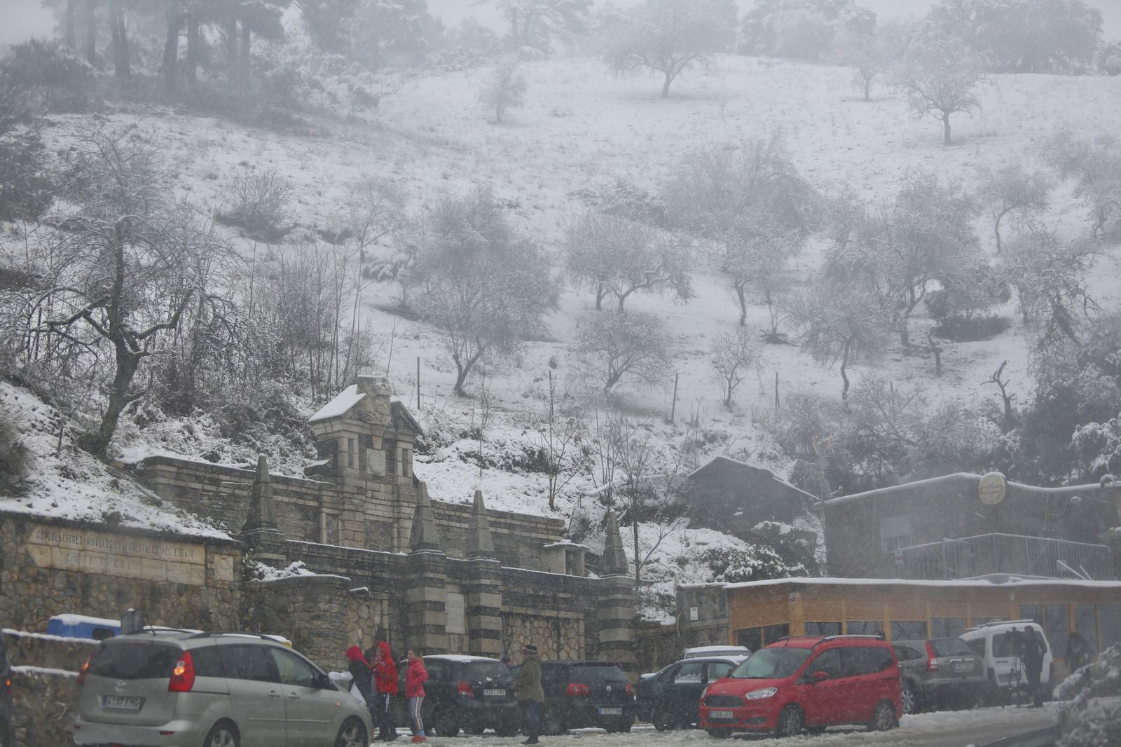 Las imágenes de la nevada en Málaga