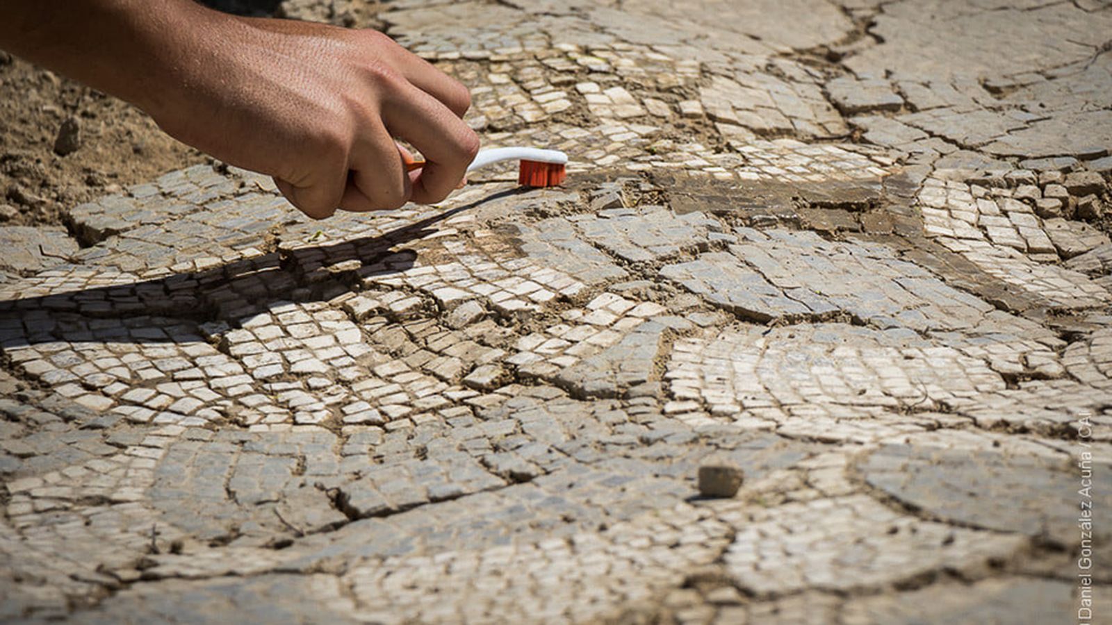 Detalle de uno de los mosaicos.