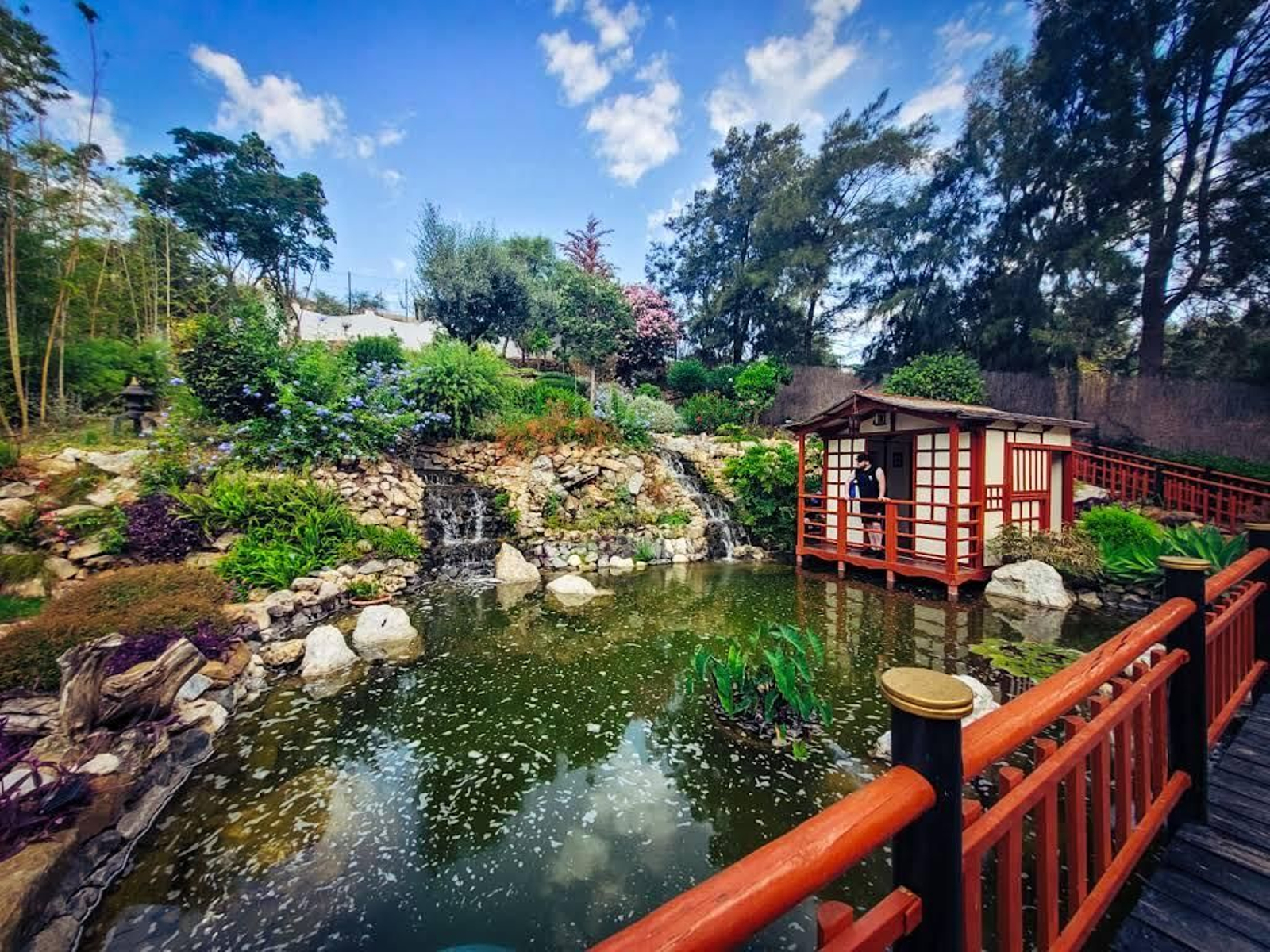 Una de las zonas del jardín botánico.