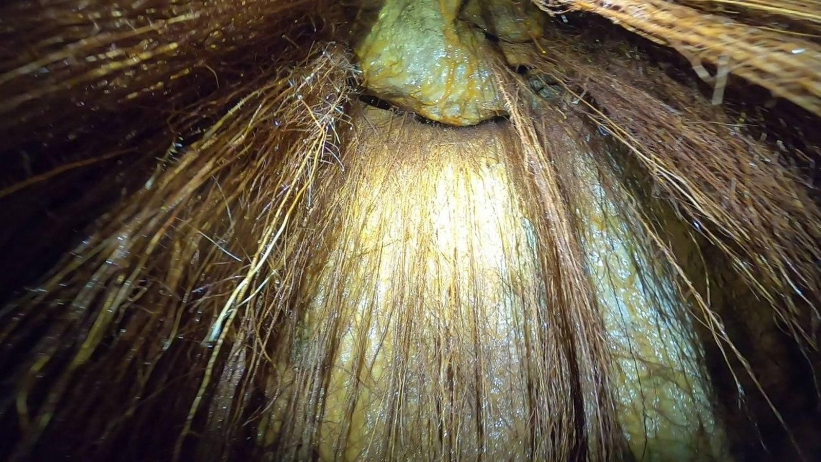 Mina de la Nava de Torreperogil. Mina de la Nava de Torreperogil.