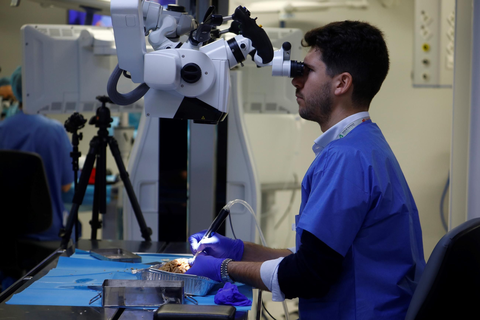 El curso en el que neurocirujanos del Hospital Reina Sofía estudian el cerebro, en imágenes