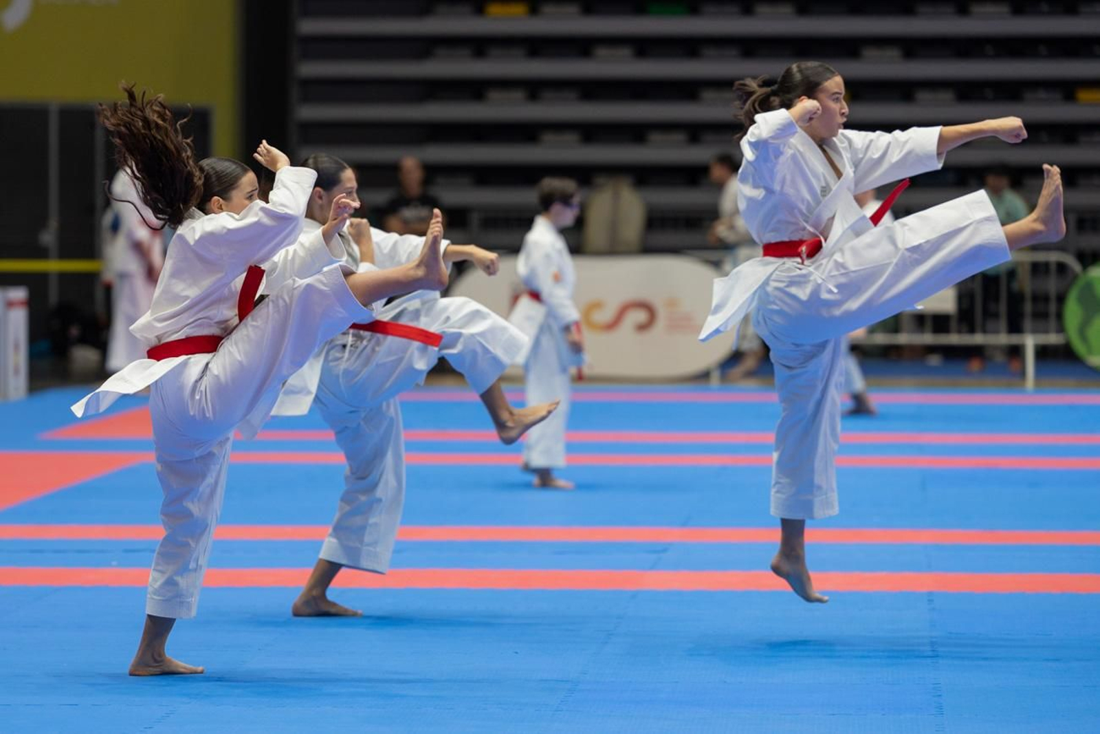 Campeonato de España de Kárate cadete, júnior y sub 21 brilla en Jaén
