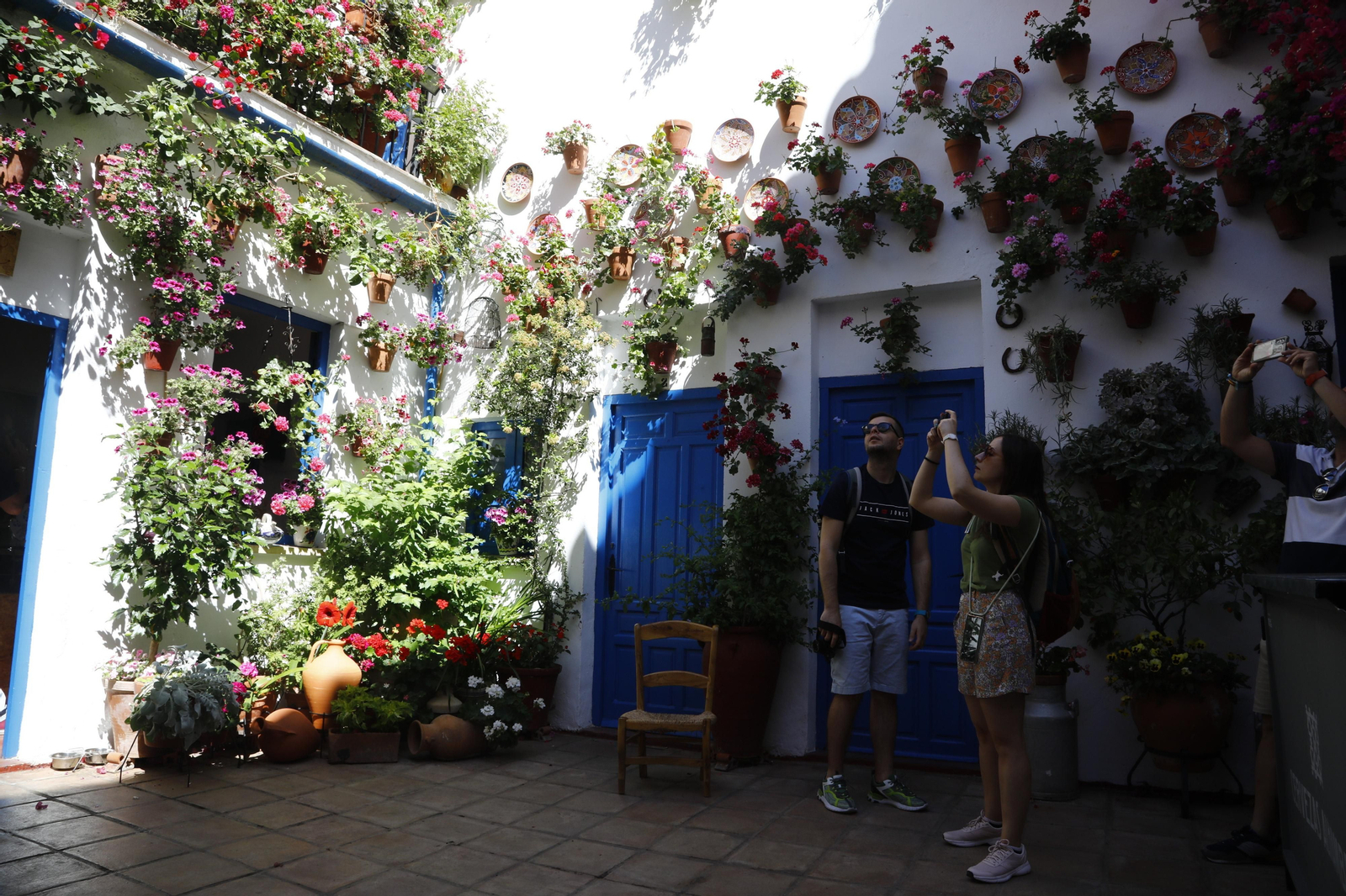 Los Patios de Córdoba se preparan para el fin de semana, en imágenes