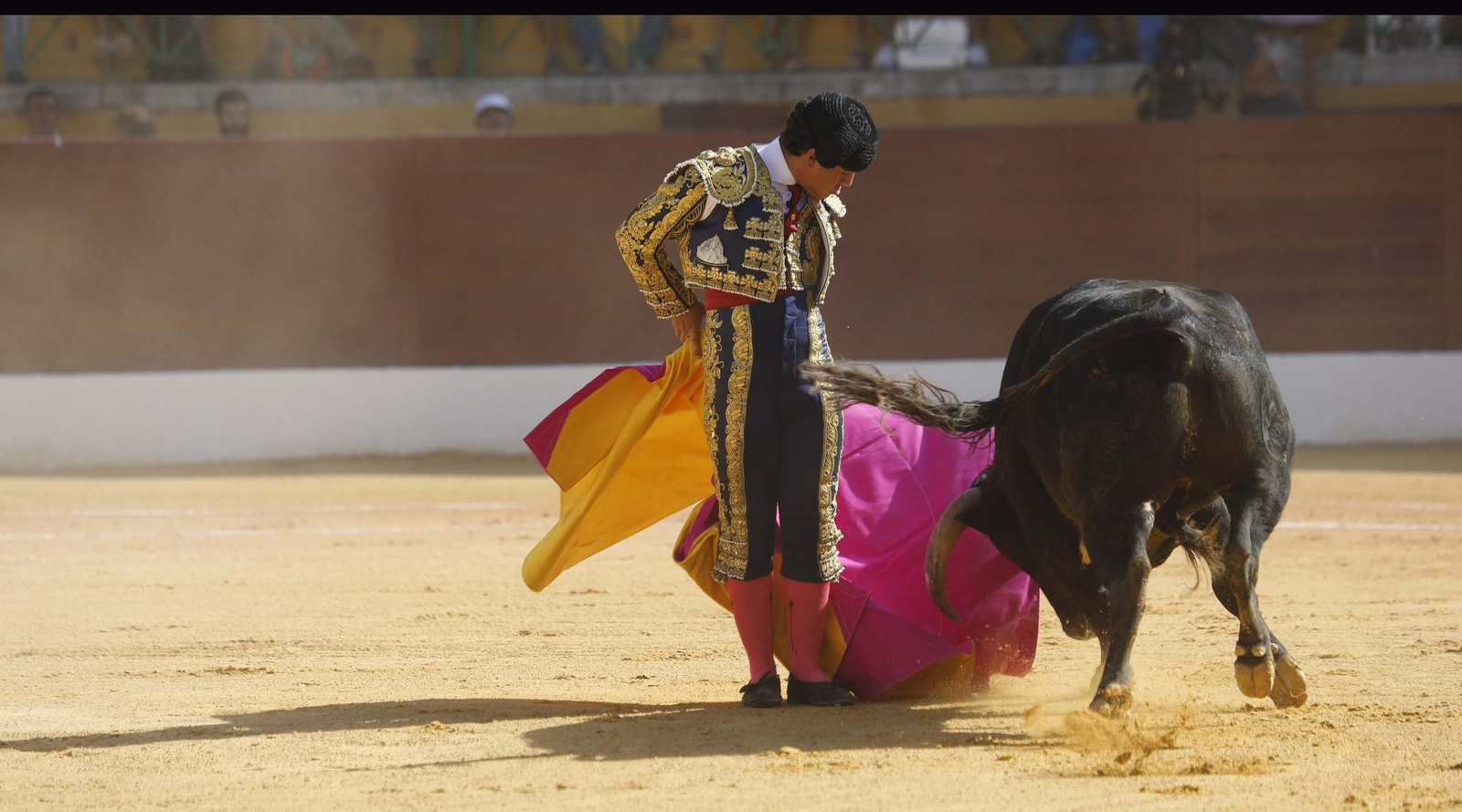 Las fotos de la primera semifinal del ciclo de novilladas de las Escuelas de Tauromaquia de Andalucía en La Línea