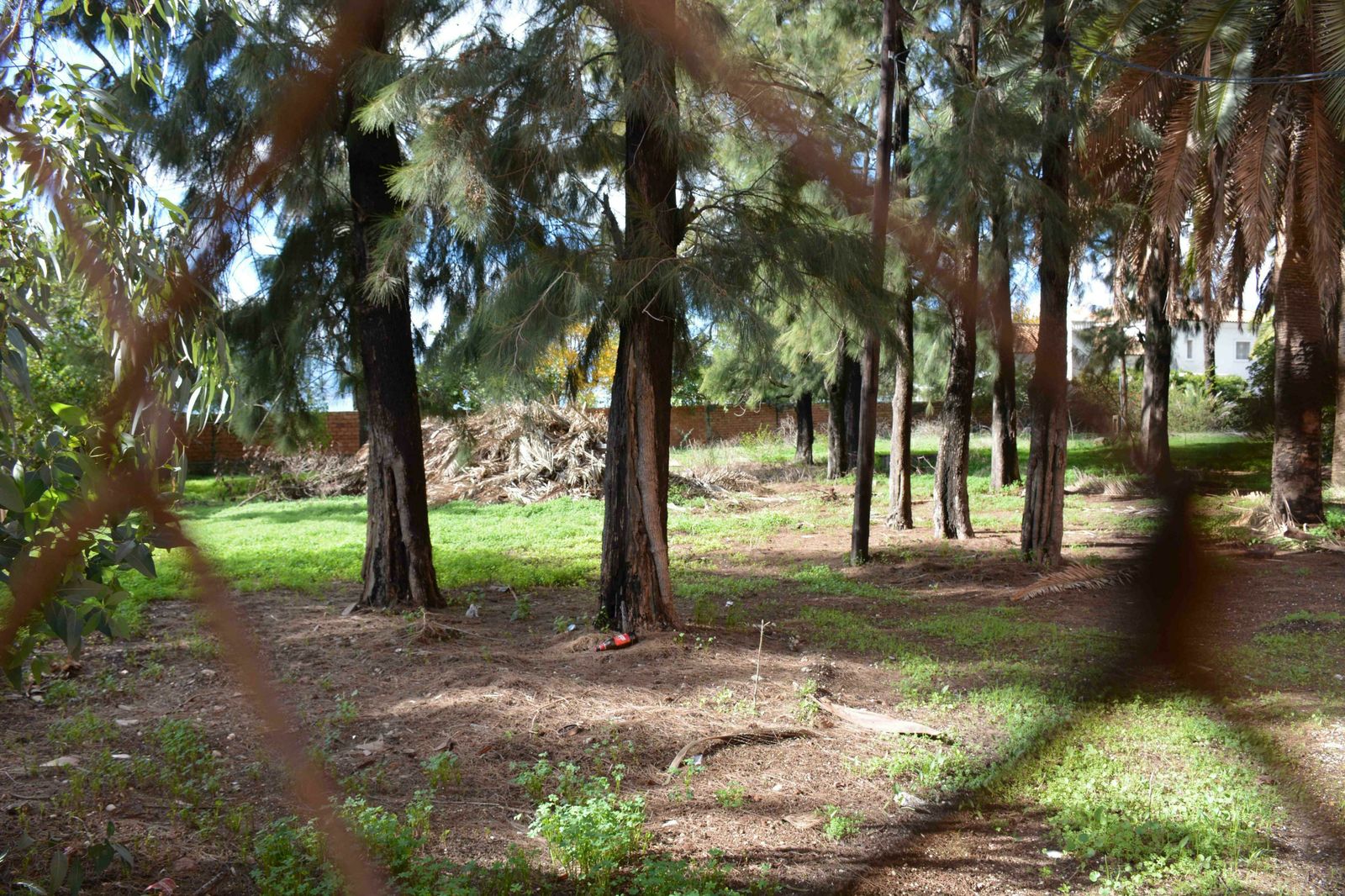 La Rosaleda de Campamento.