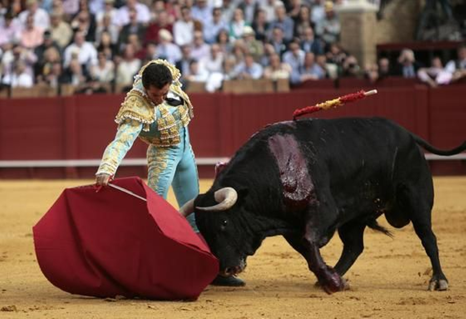 El Fandi./ Juan Carlos Muñoz